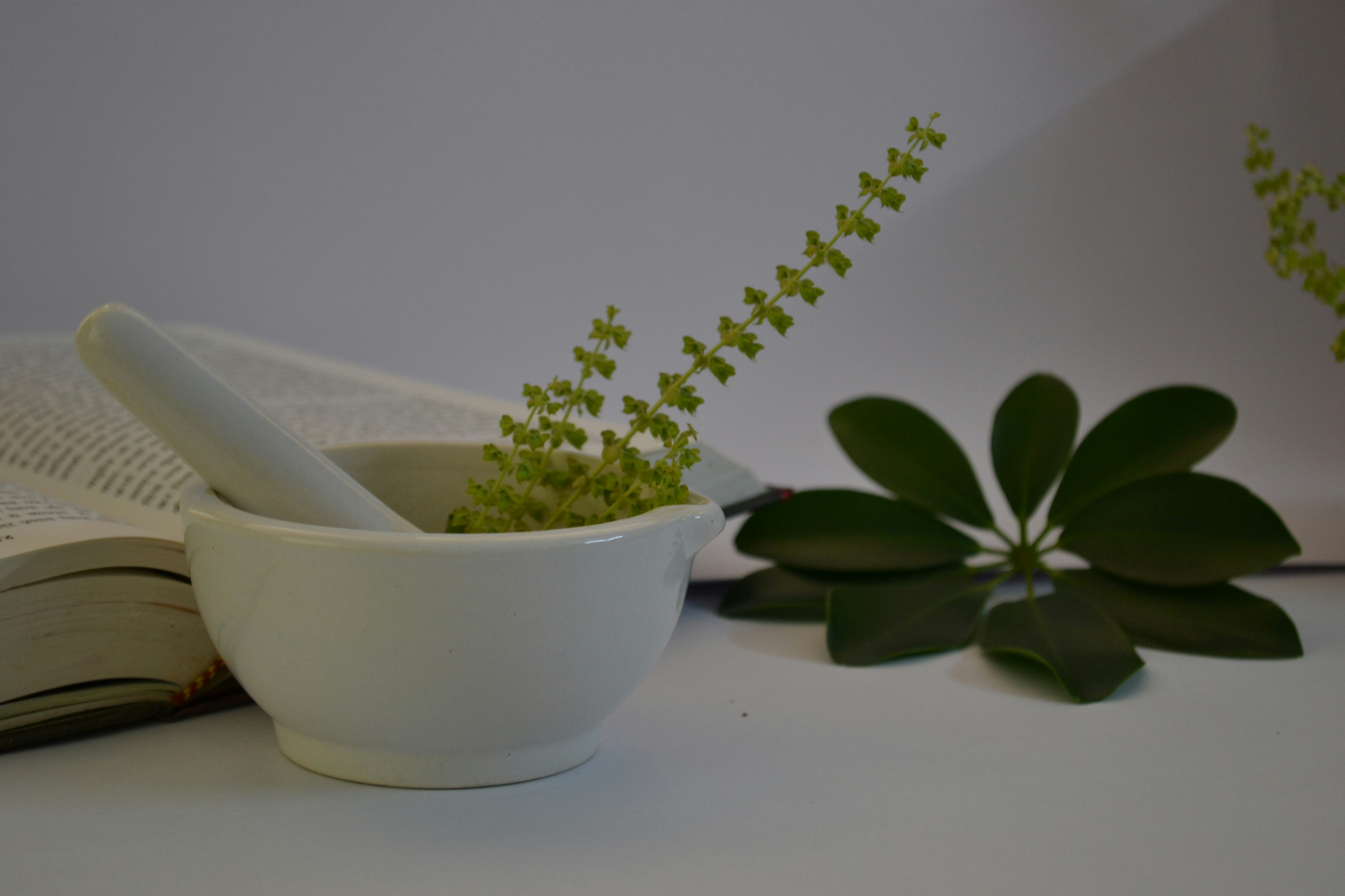 Natural herbs and minerals used in ancient medicine, mortar and pestle, warm earthy colors