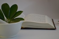 Artisan-crafted pottery bowls beside a vintage book opened to a page with delicate illustrations.