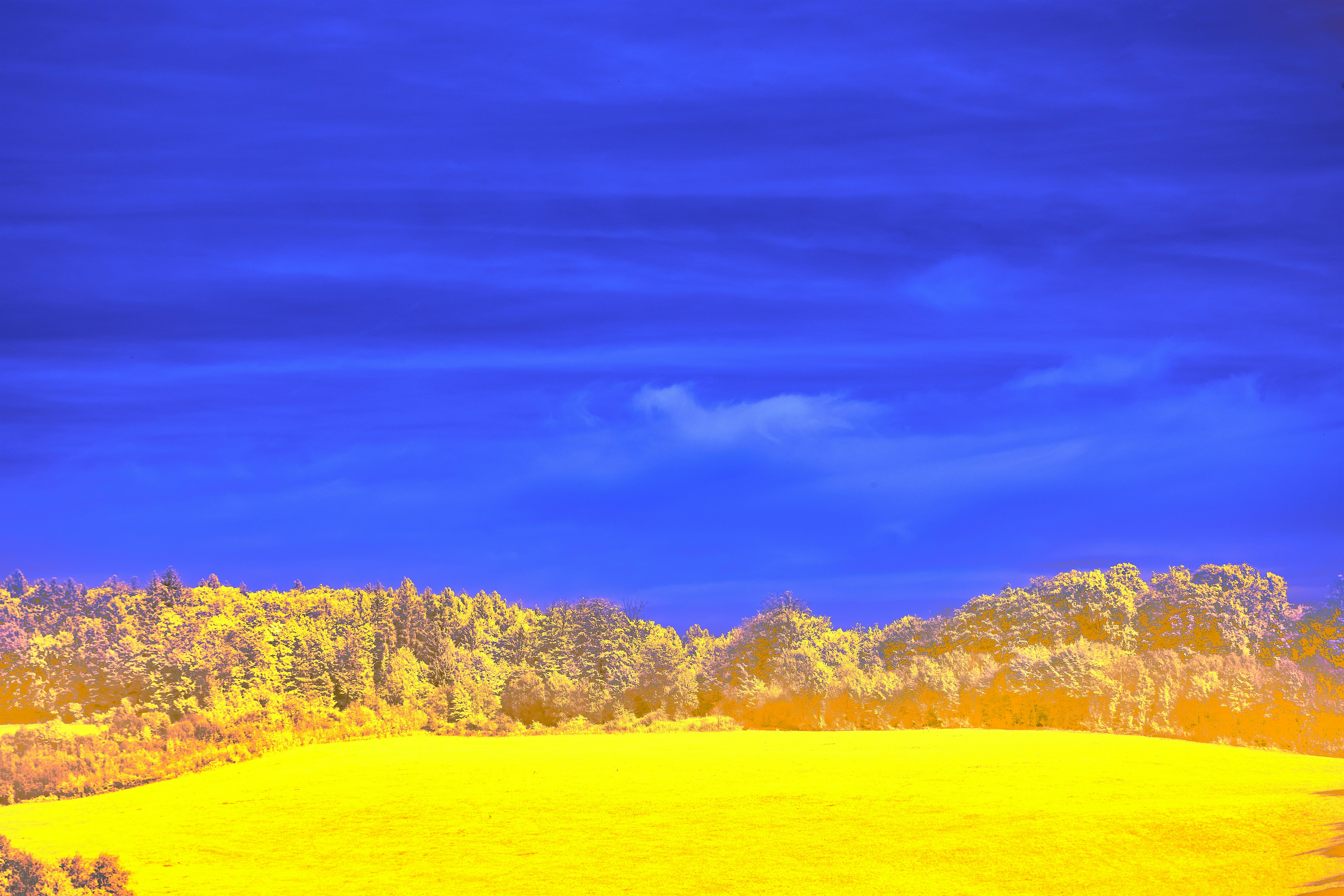 Photo by wolfgang_hasselmann