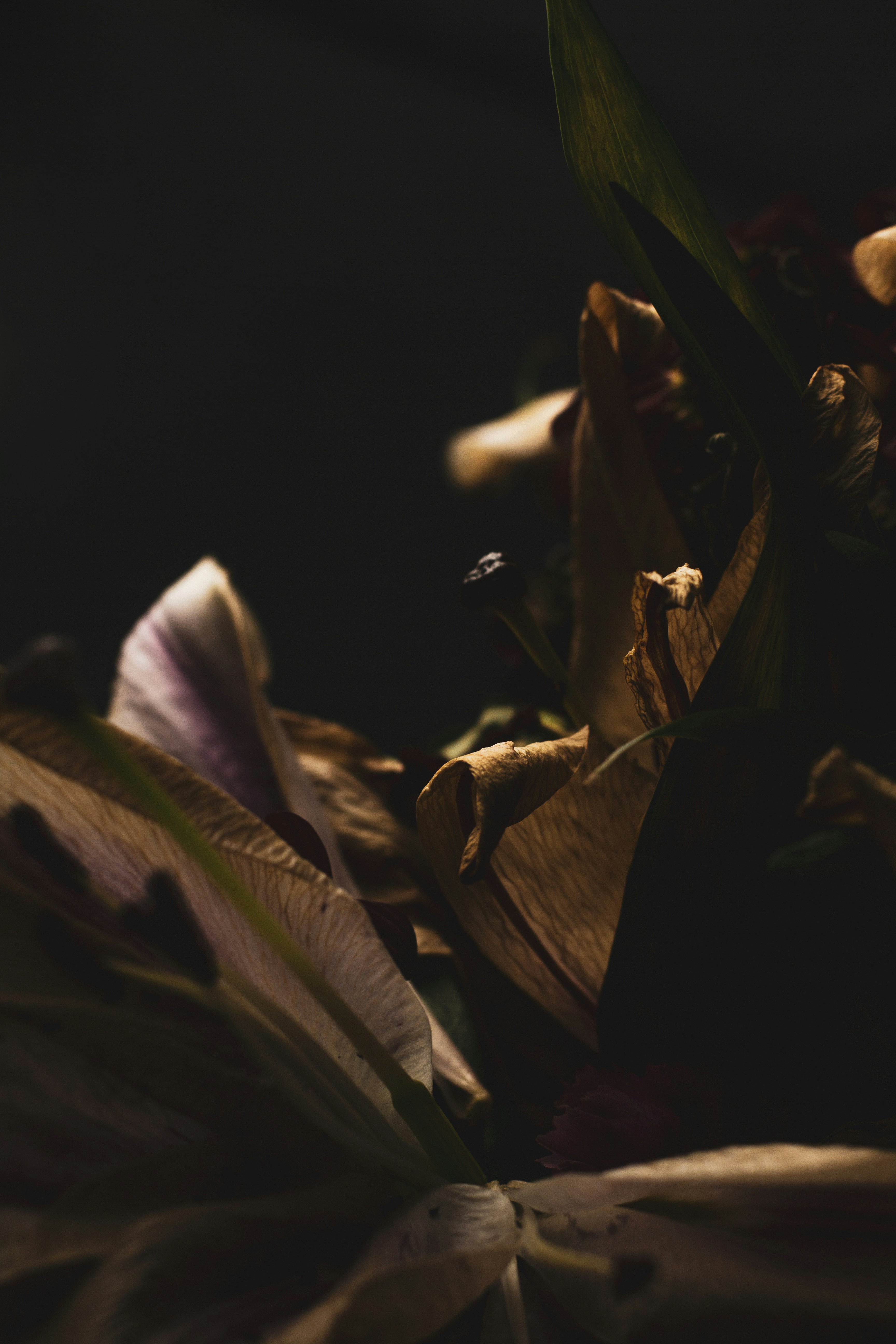 Photo by secondsight