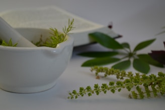 A white mortar containing small green plants is placed in the foreground. Behind it, an open book lies partially out of focus. Around the mortar and book, various green leaves are scattered, suggesting a botanical or herbal theme.