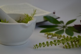 A white mortar containing small green plants is placed in the foreground. Behind it, an open book lies partially out of focus. Around the mortar and book, various green leaves are scattered, suggesting a botanical or herbal theme.