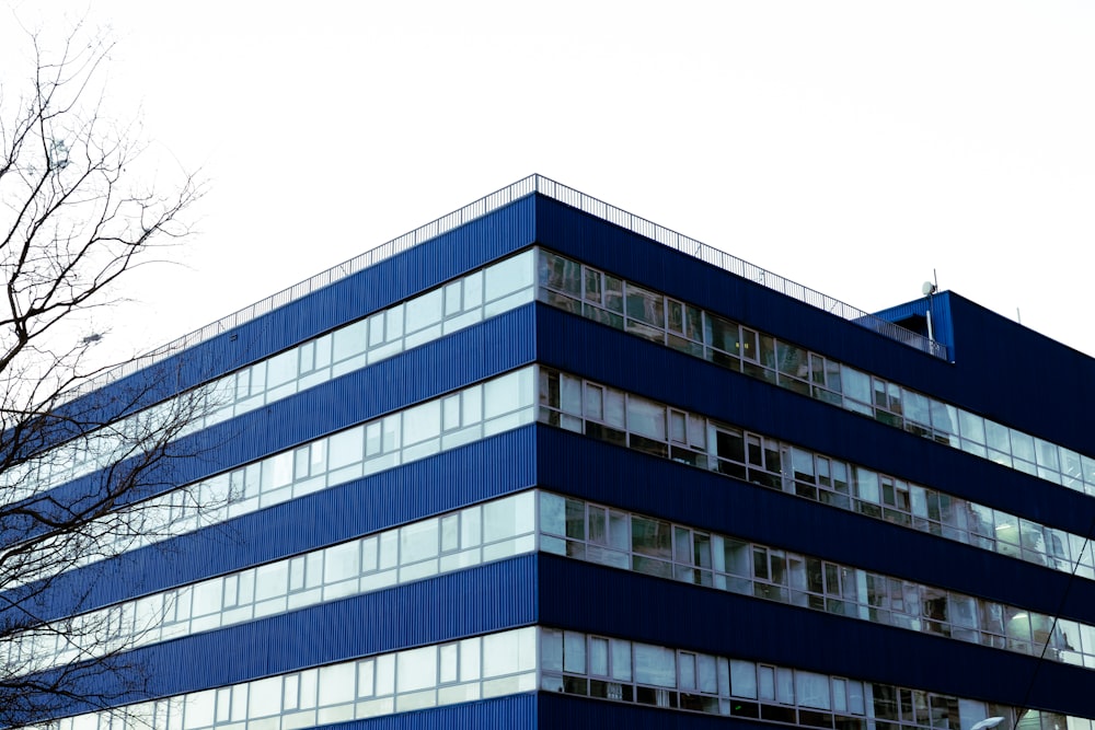 a tall blue building sitting next to a tree