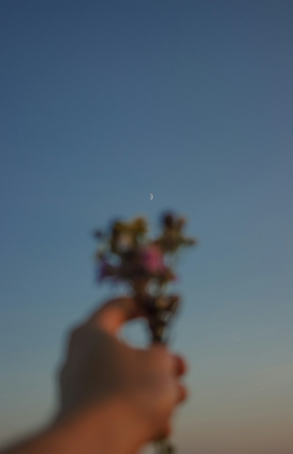 a person holding a flower in their hand