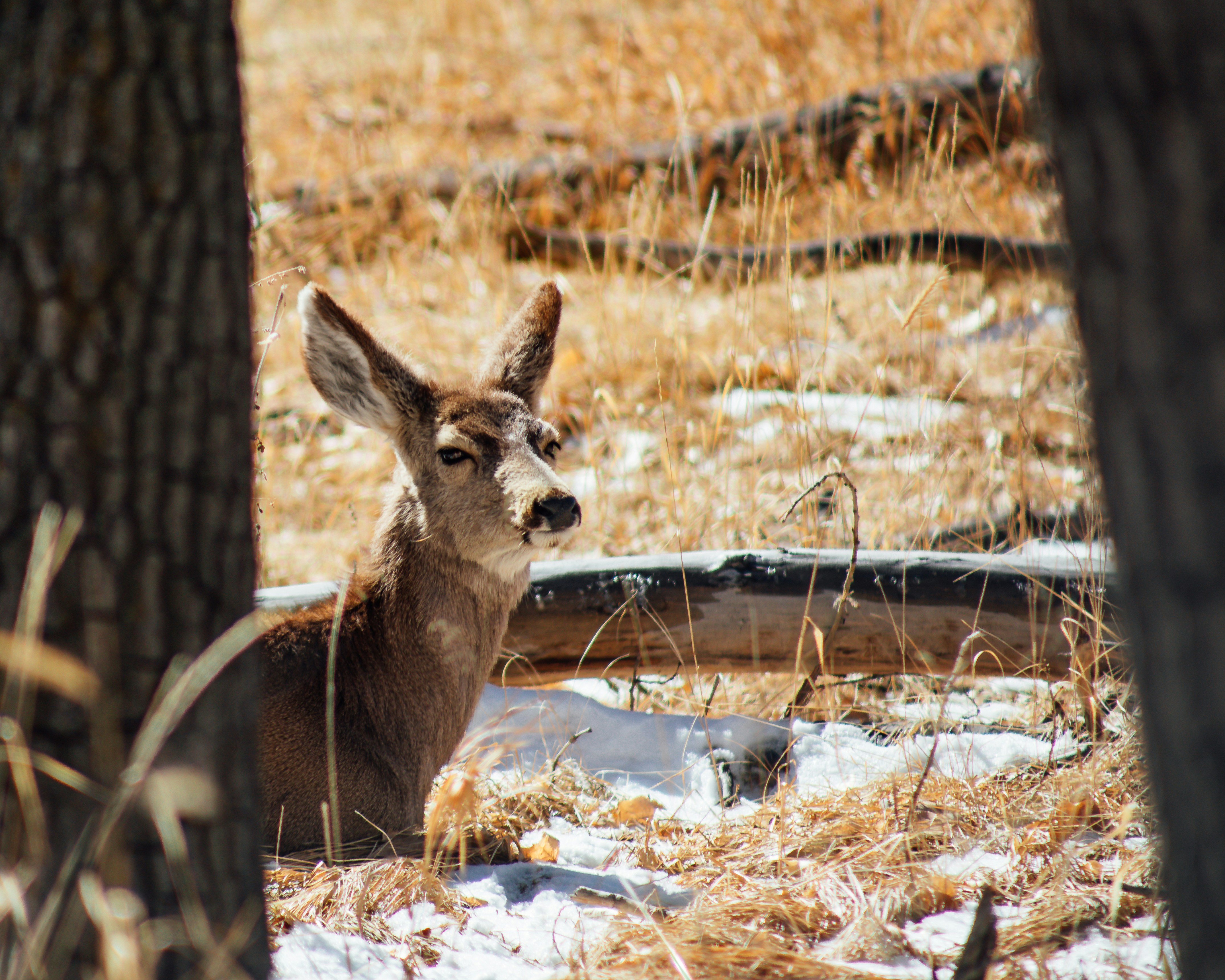Photo by photosoflogan