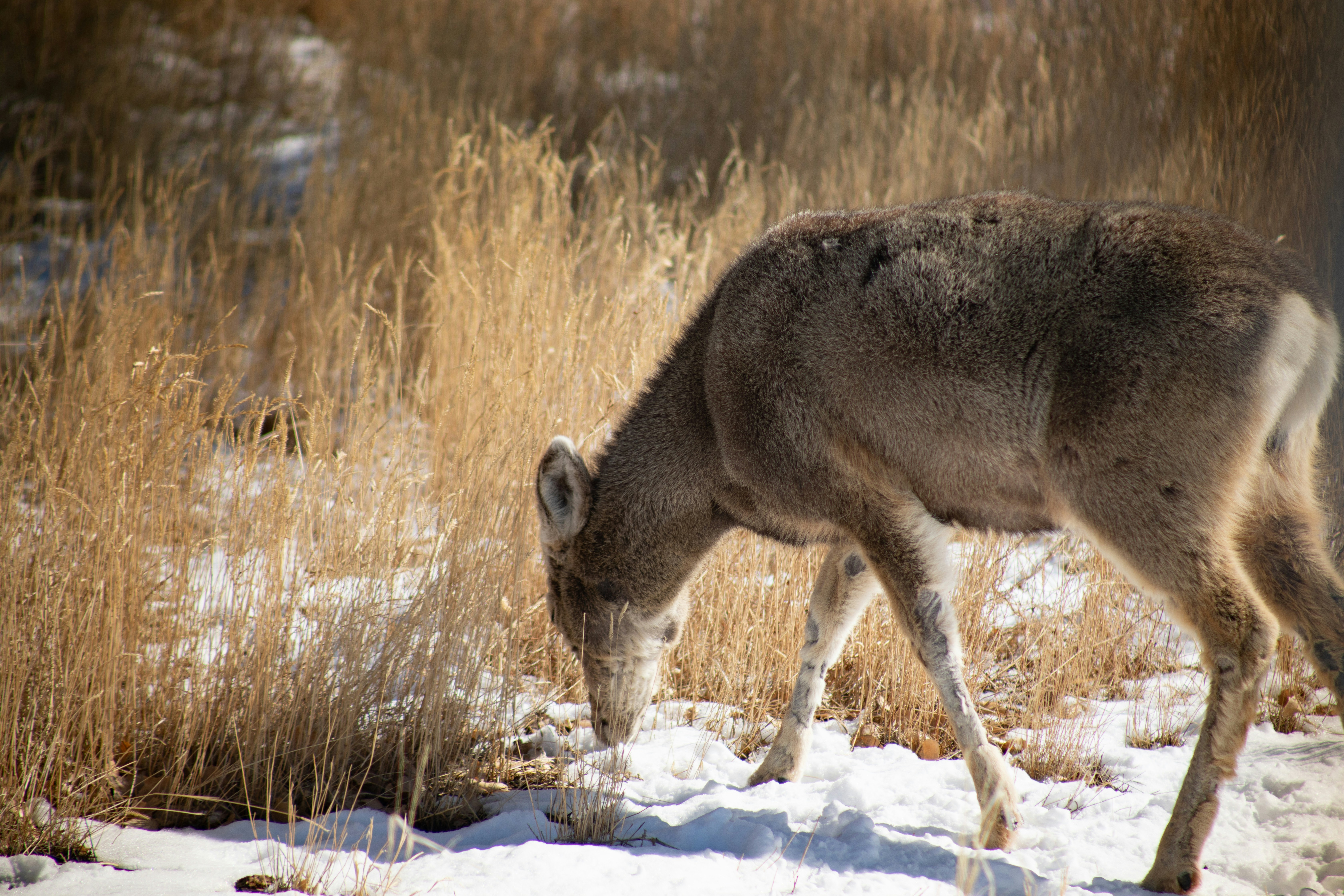 Photo by photosoflogan