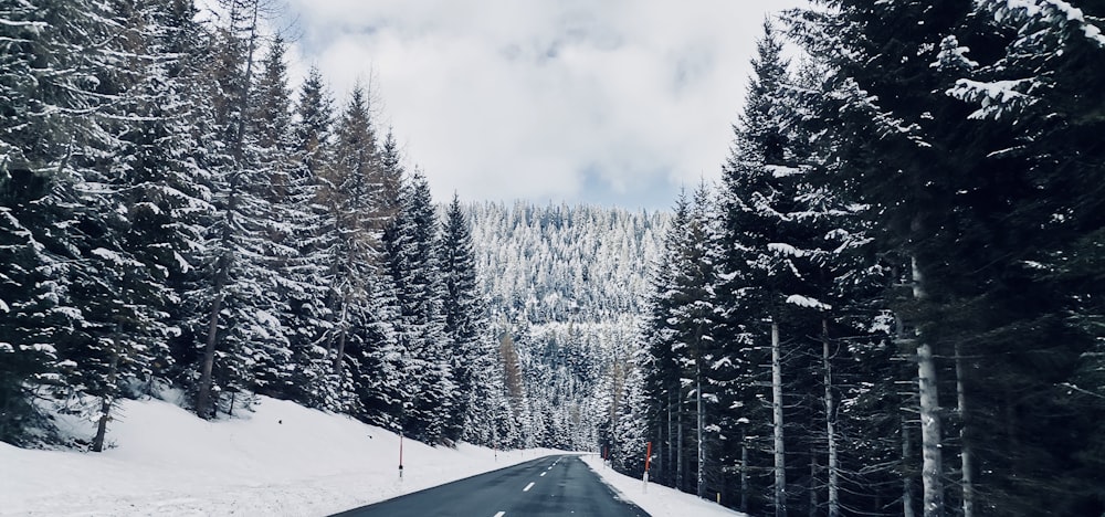 a road in the middle of a forest covered in snow