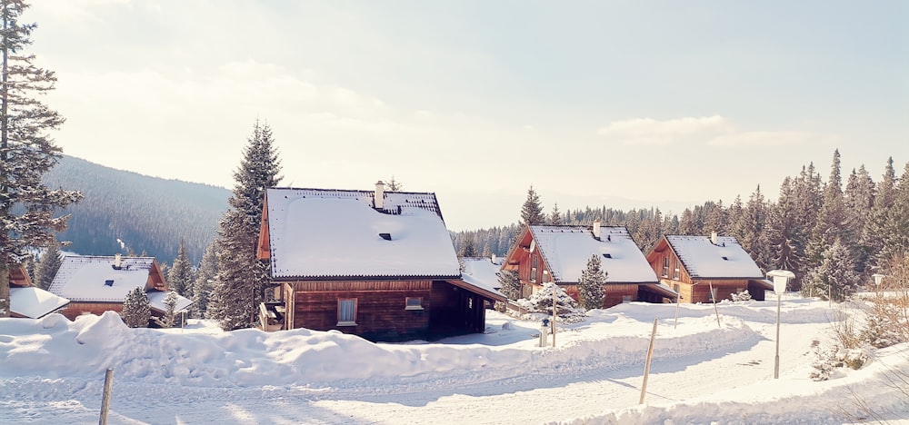 Un groupe de maisons au milieu d’une forêt enneigée