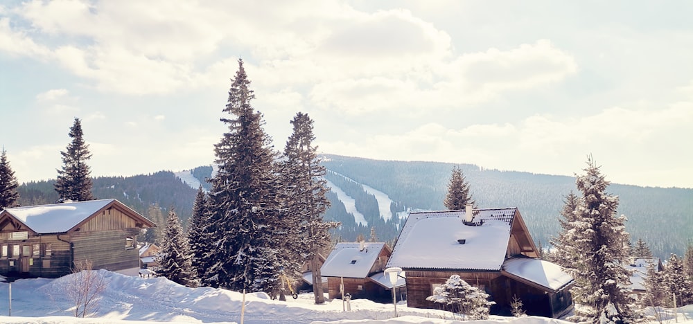 a snow covered hillside with houses and trees in the foreground