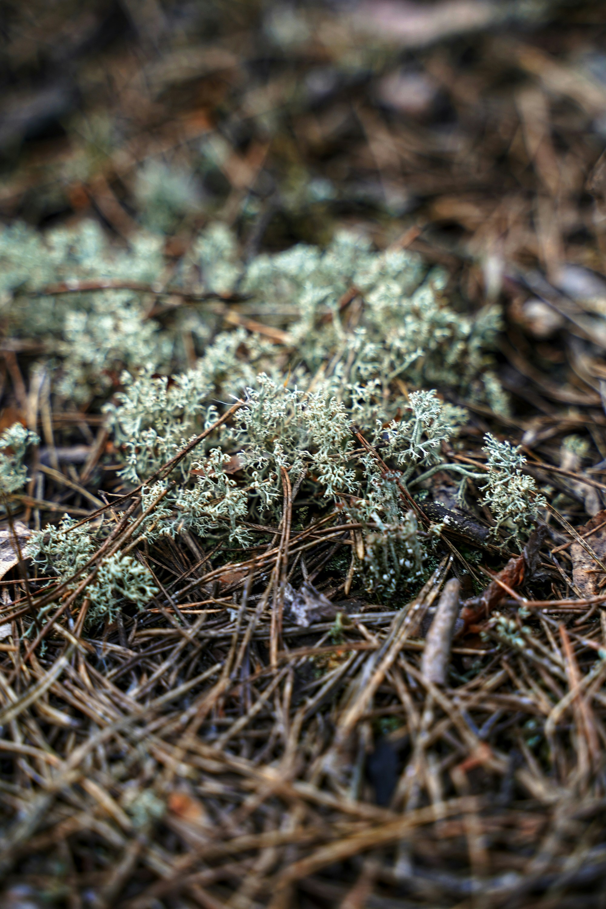 Photo by olenkasergienko