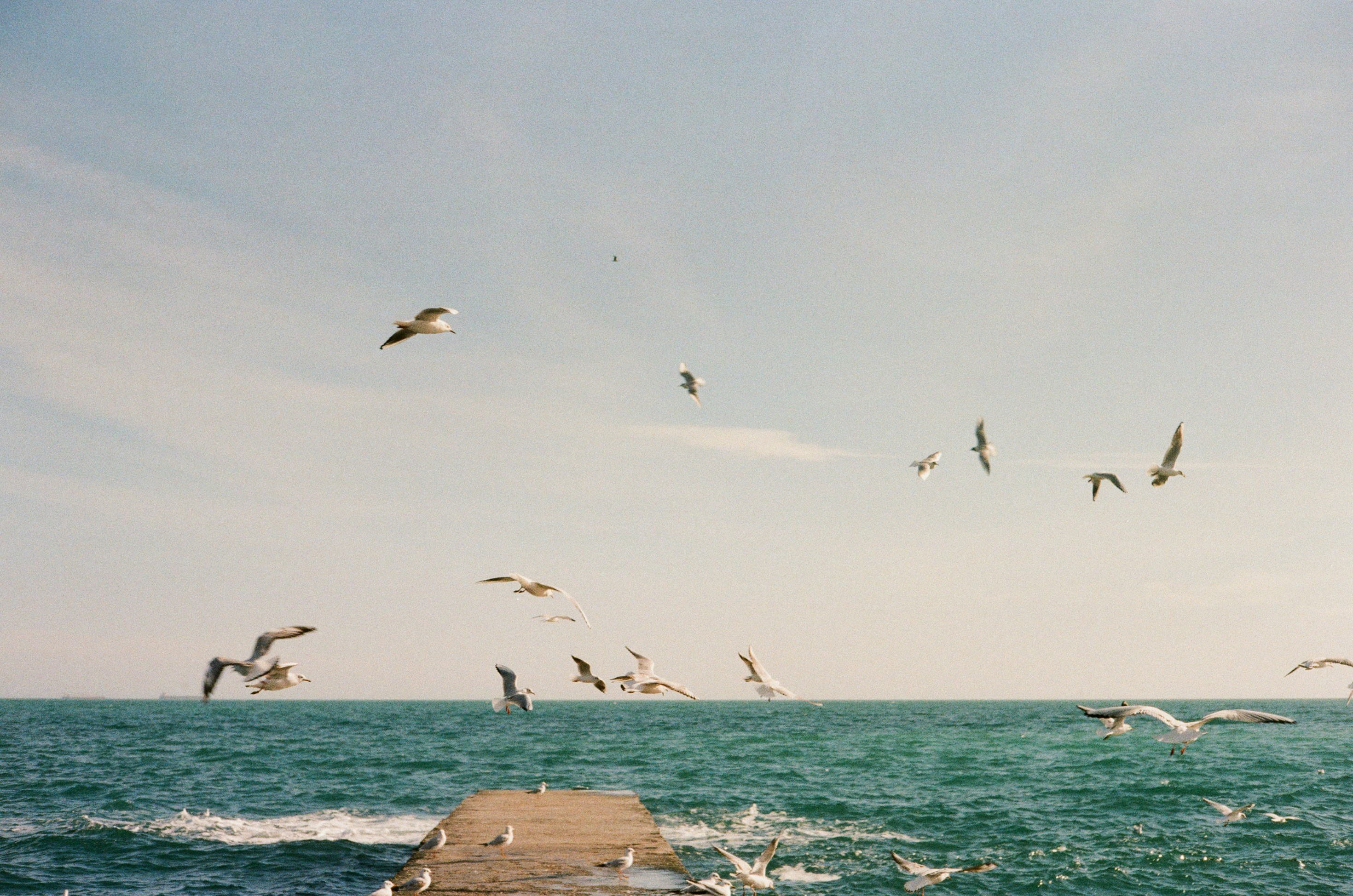 Photo by olenkasergienko