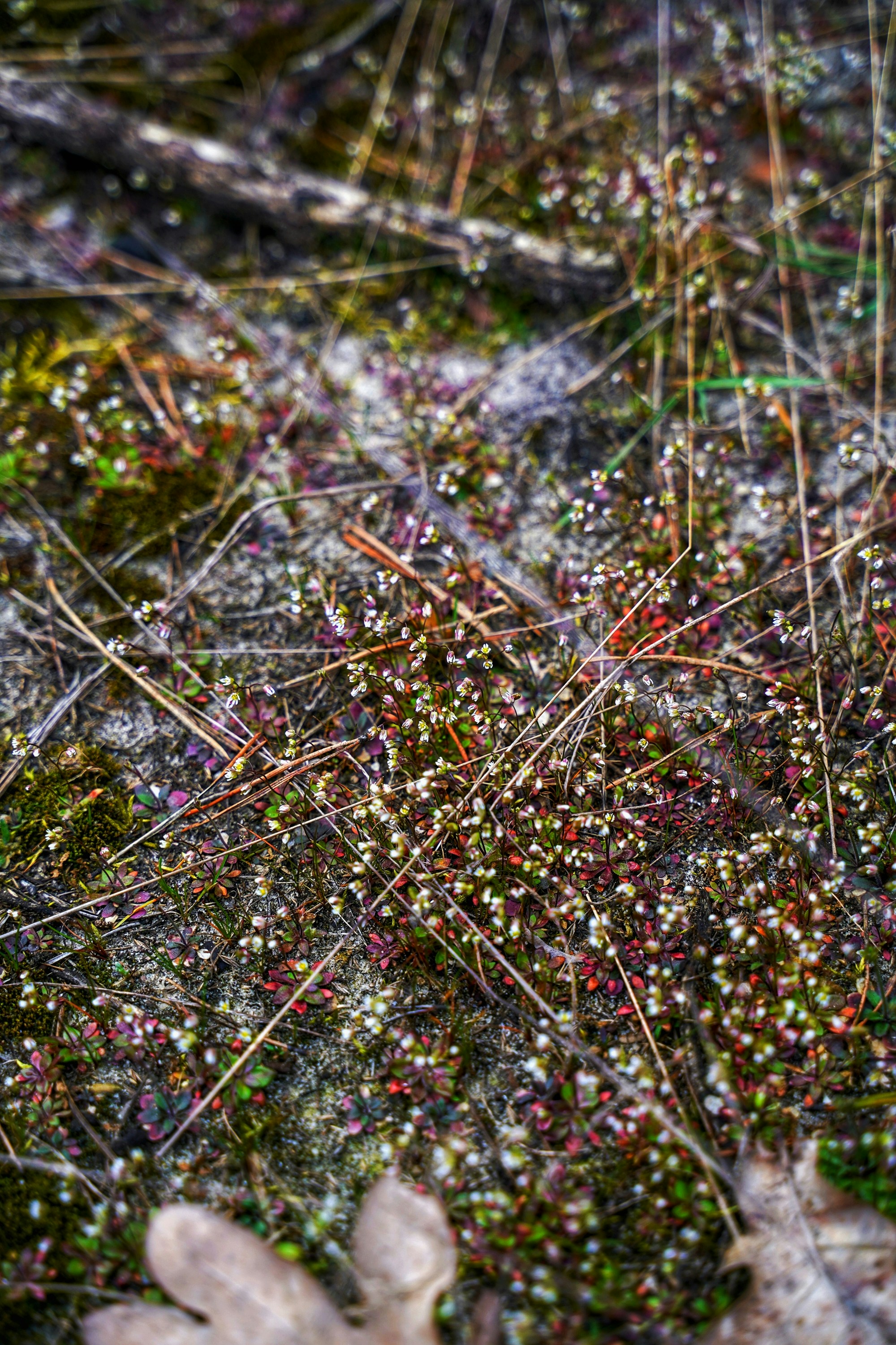 Photo by olenkasergienko