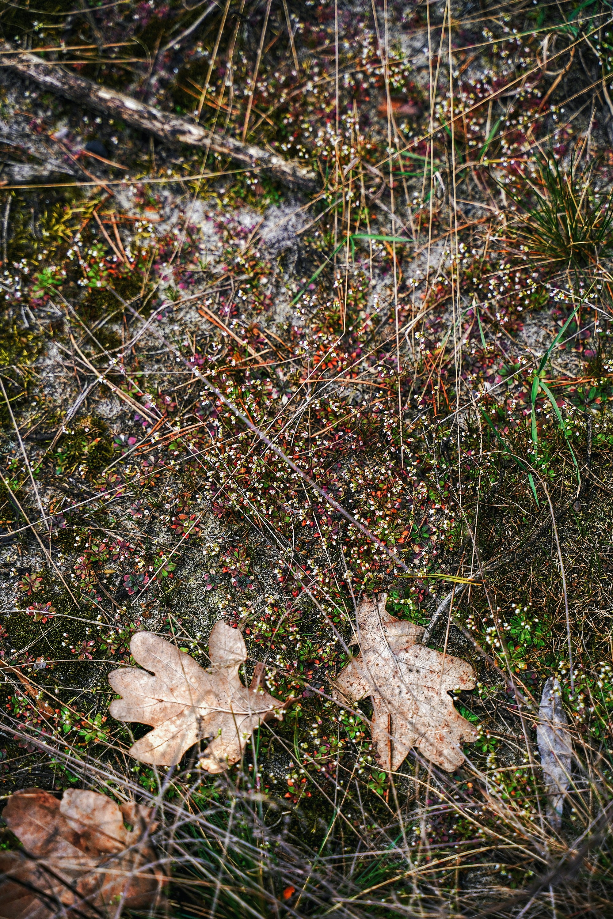 Photo by olenkasergienko