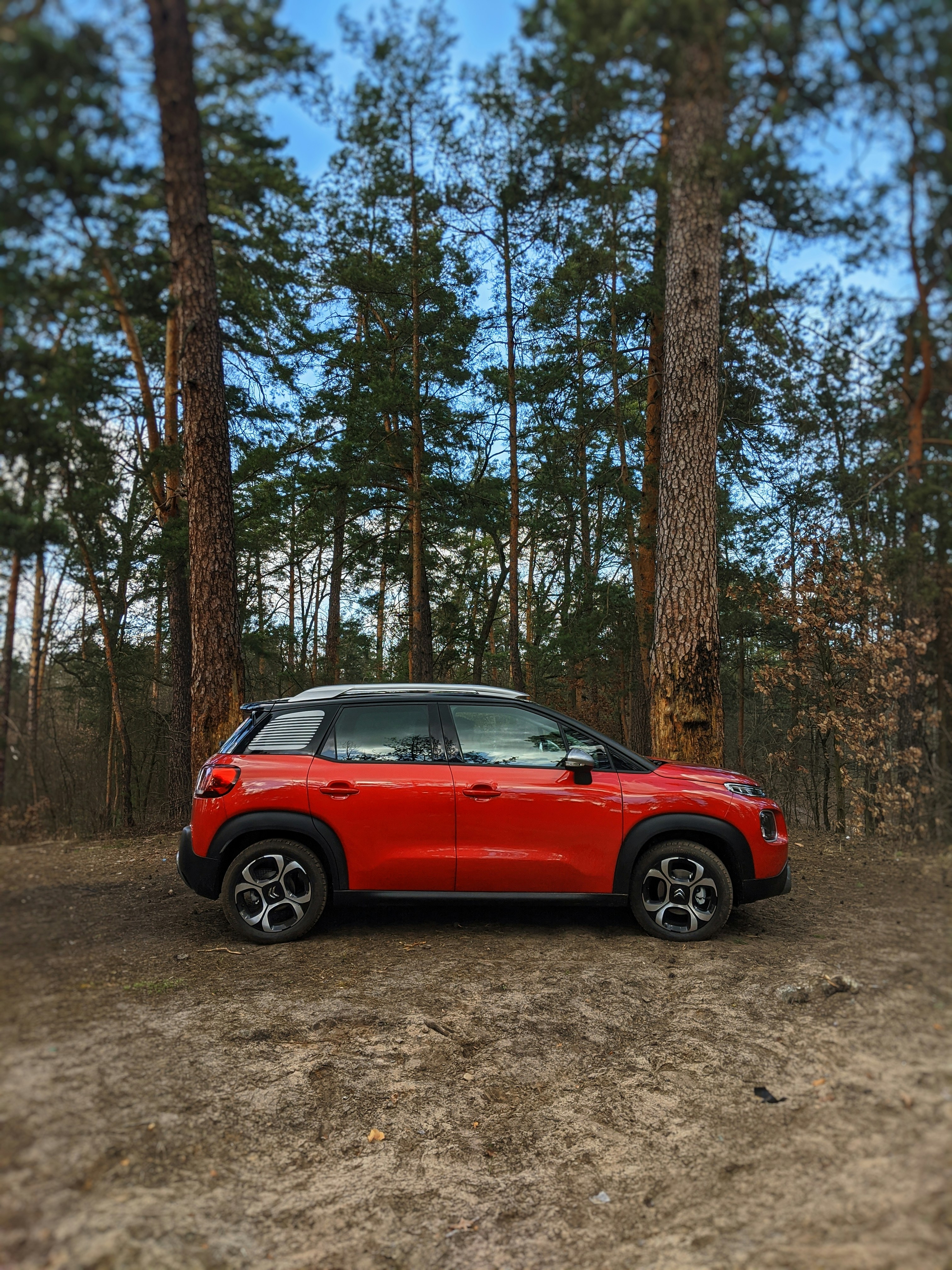 Photo by olenkasergienko