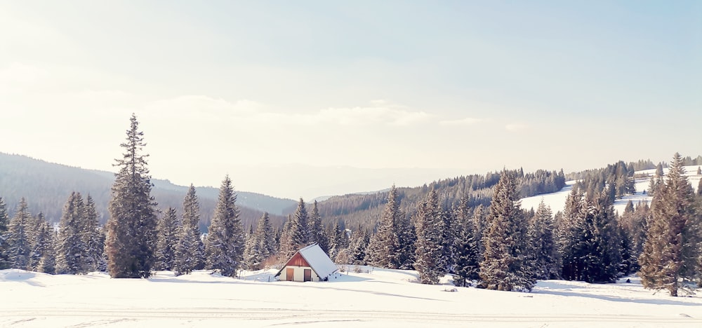 une petite cabane au milieu d’un champ enneigé