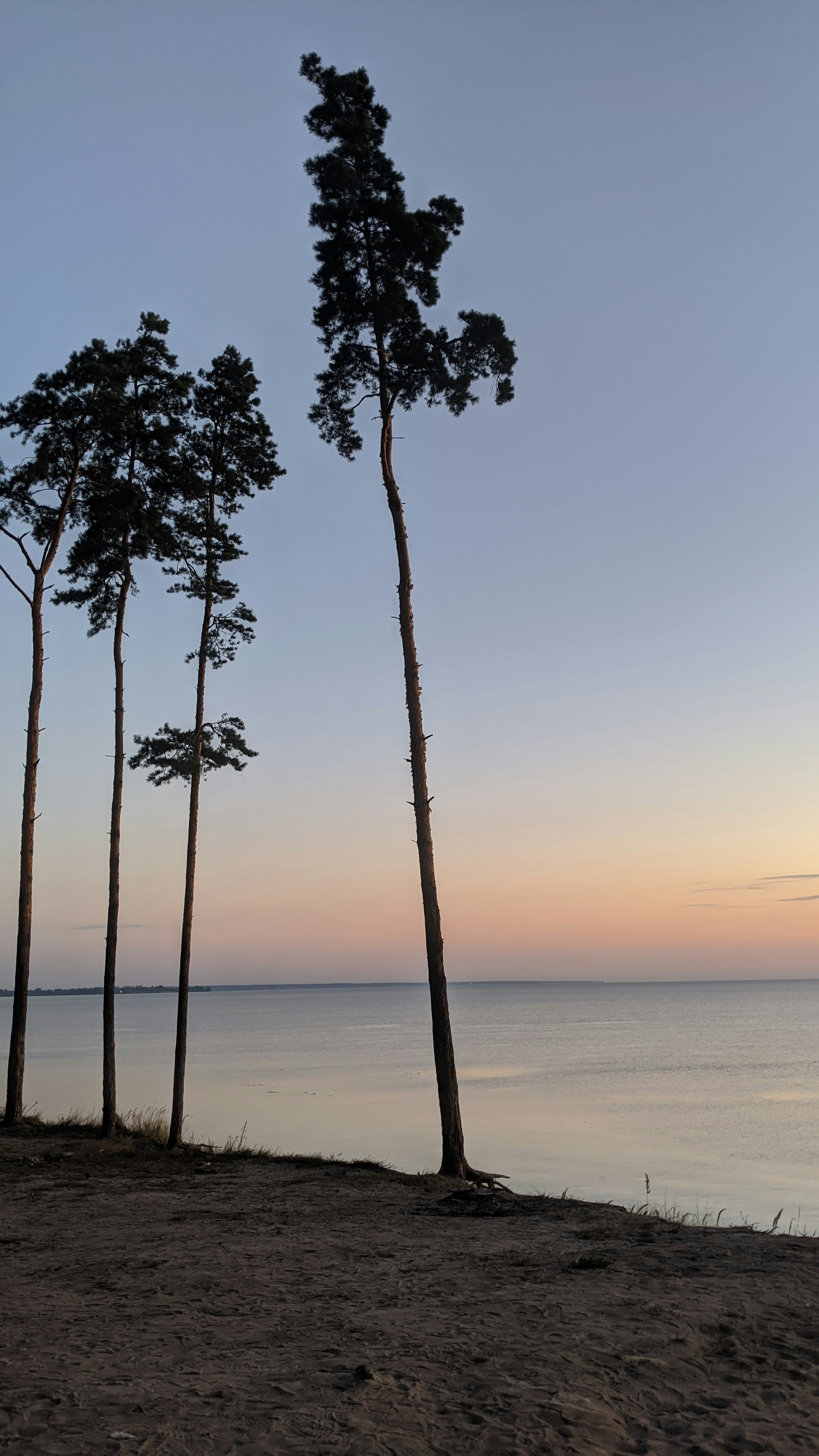 Photo by olenkasergienko