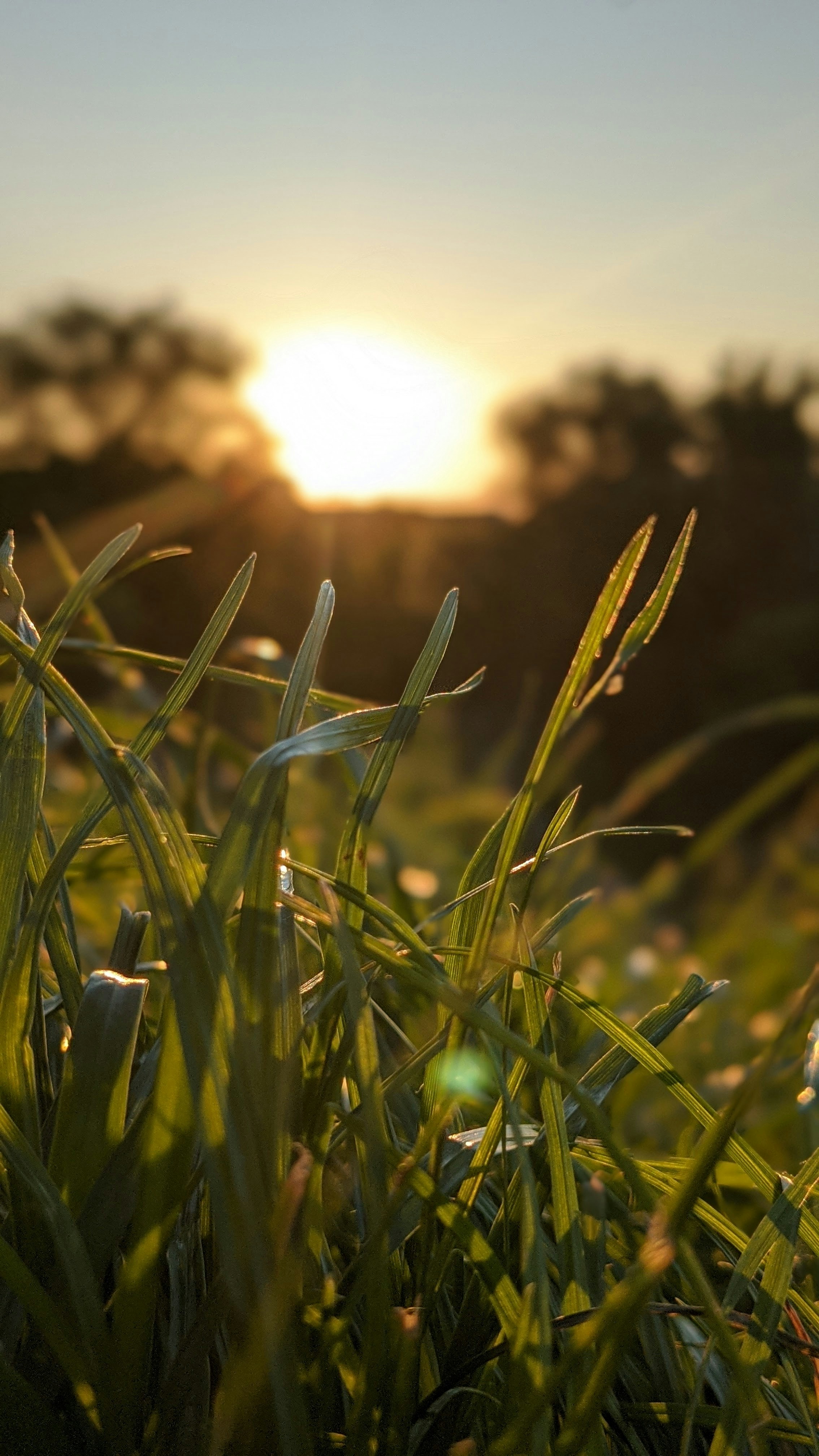 Photo by olenkasergienko