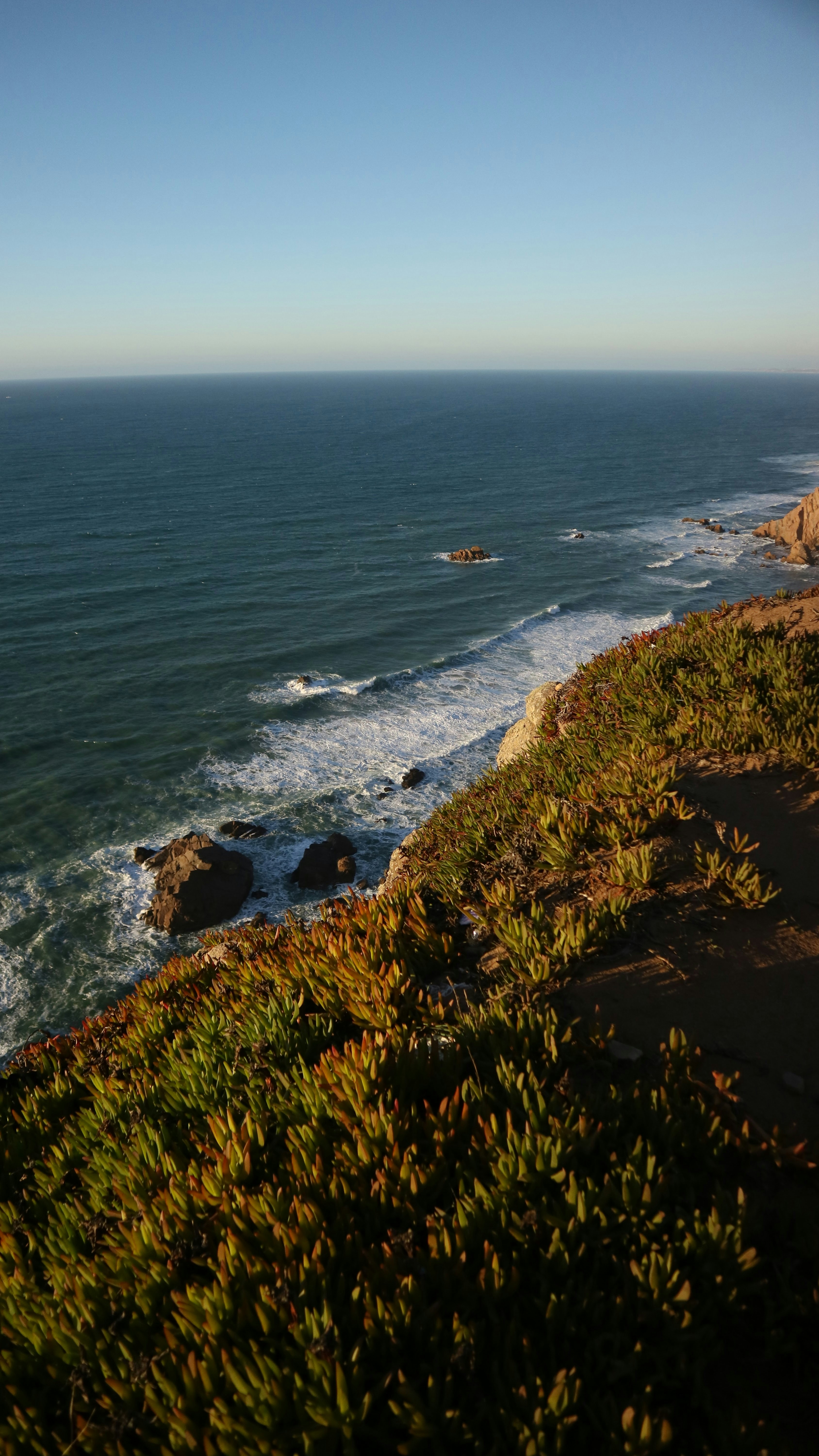 Photo by olenkasergienko