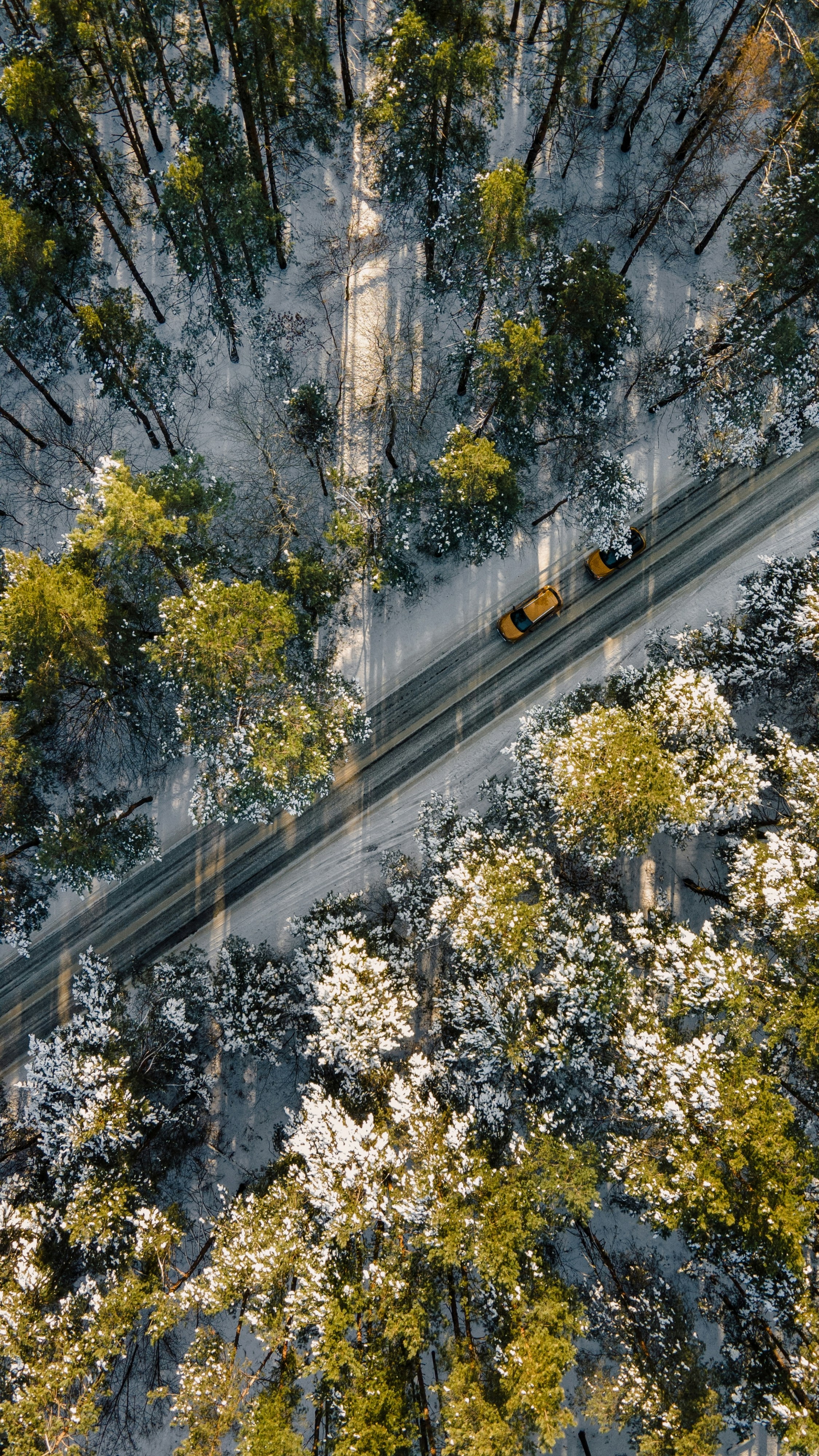 Photo by olenkasergienko