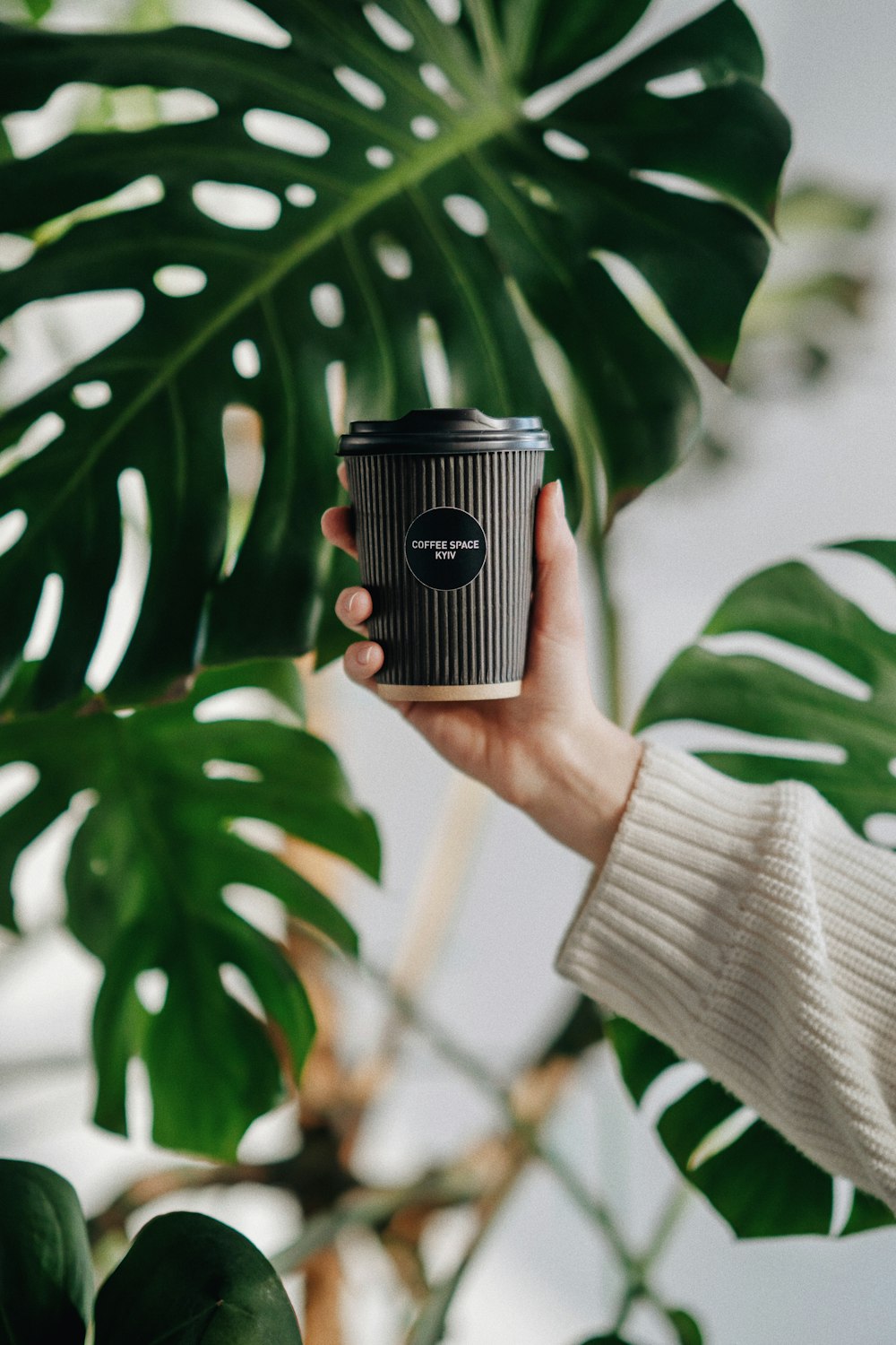 a person holding a cup of coffee in front of a plant