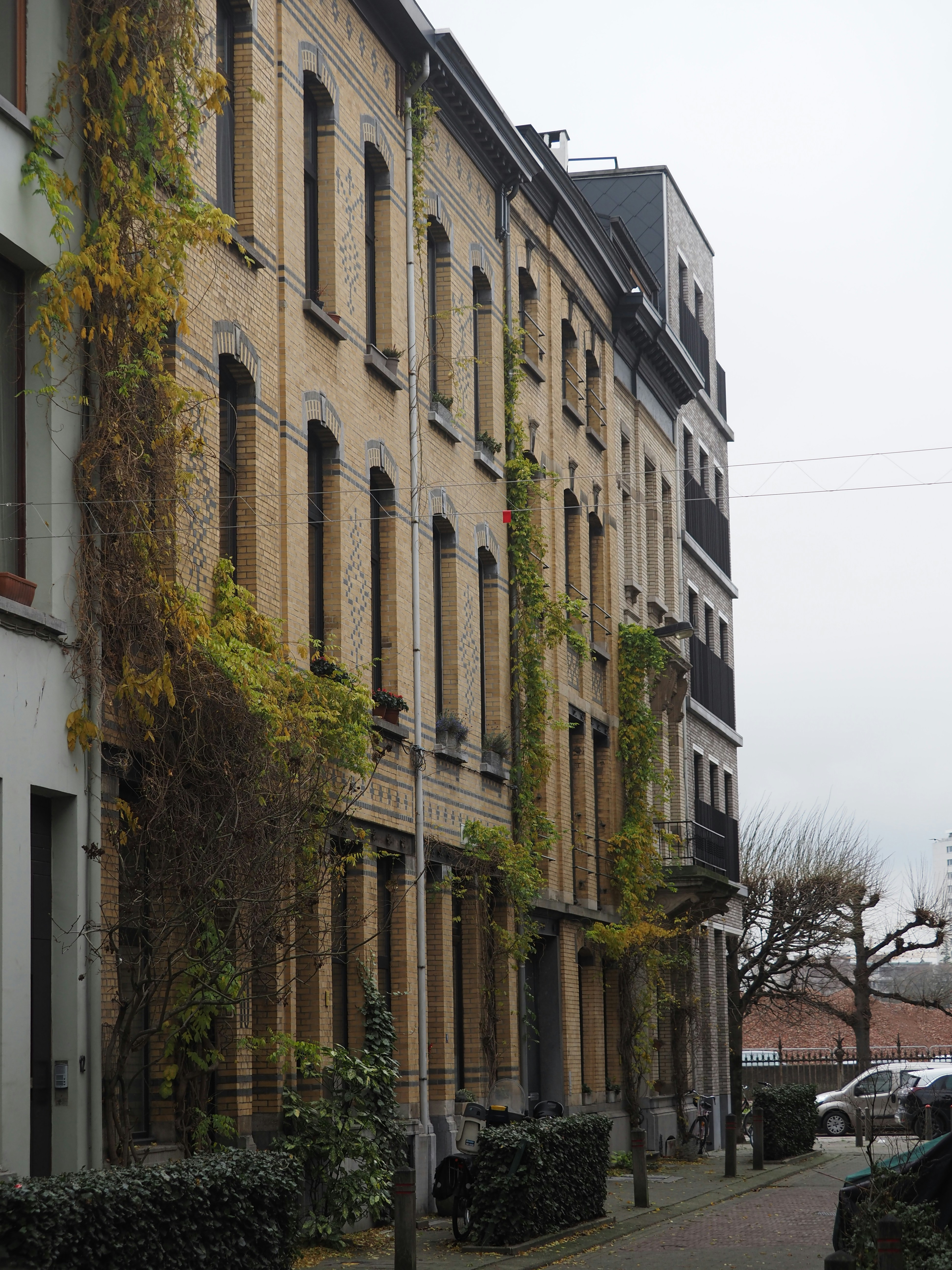 Photo by siemon_hmbrx