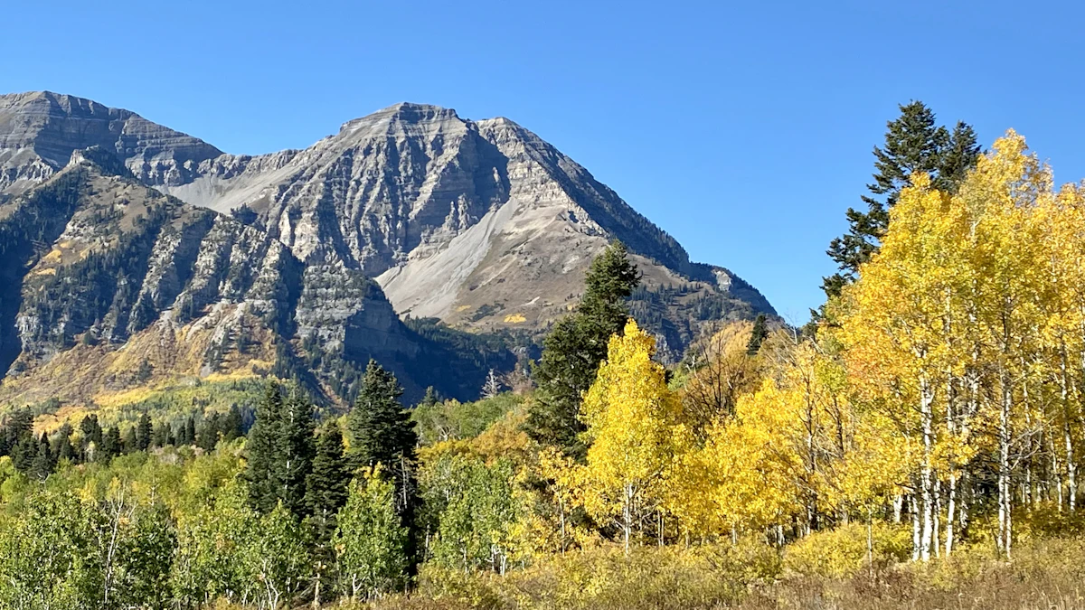 A grey rocky peak above yellow aspens and dark conifers in the Utah mountains in autumn