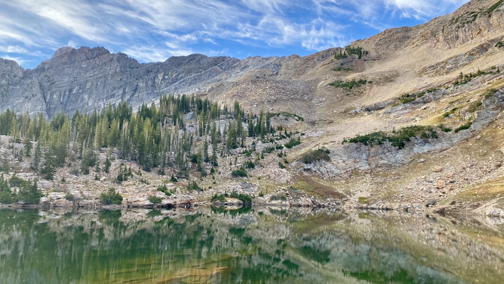 um lago de montanha cercado por árvores e rochas