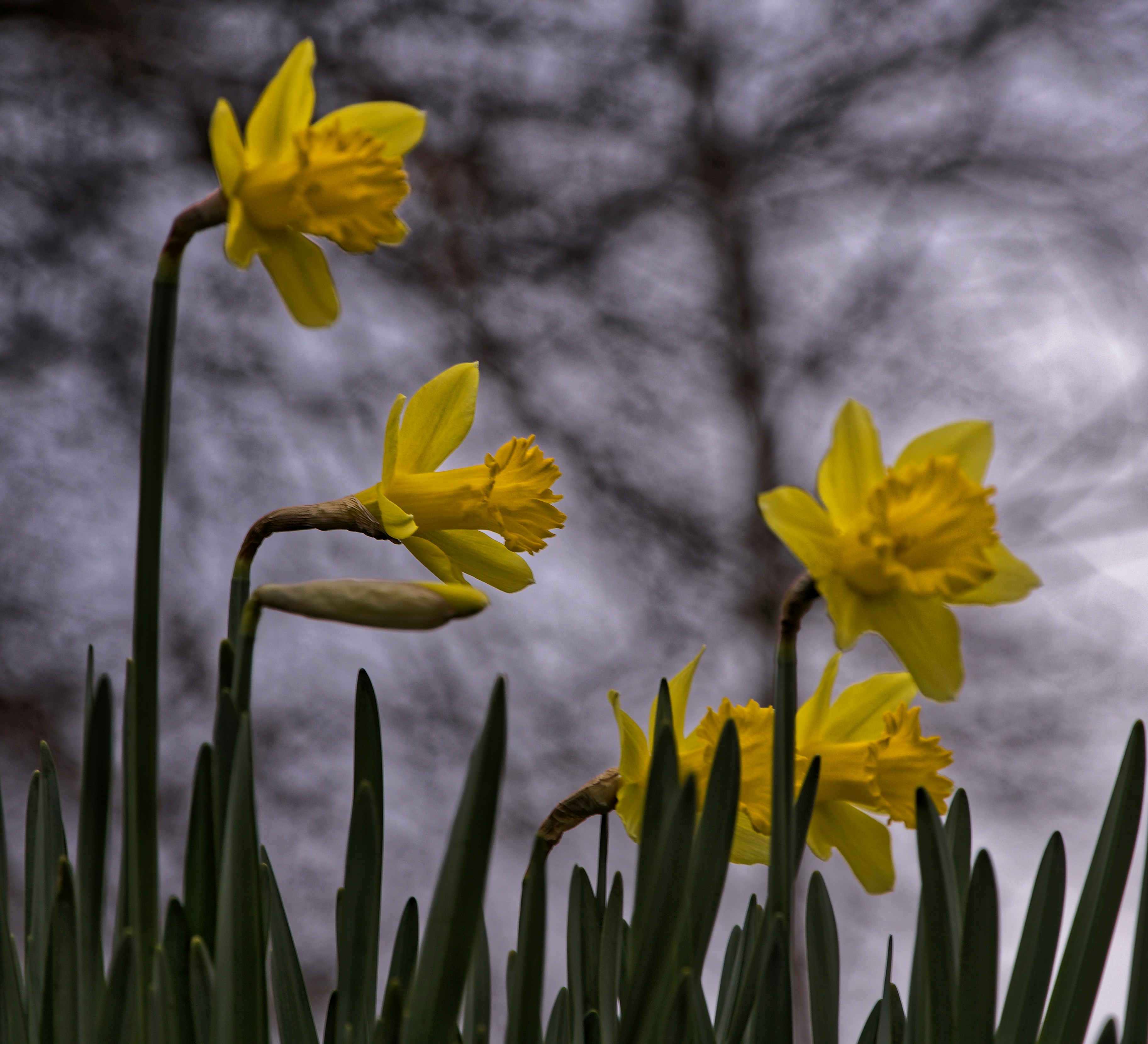 Photo by johndapps