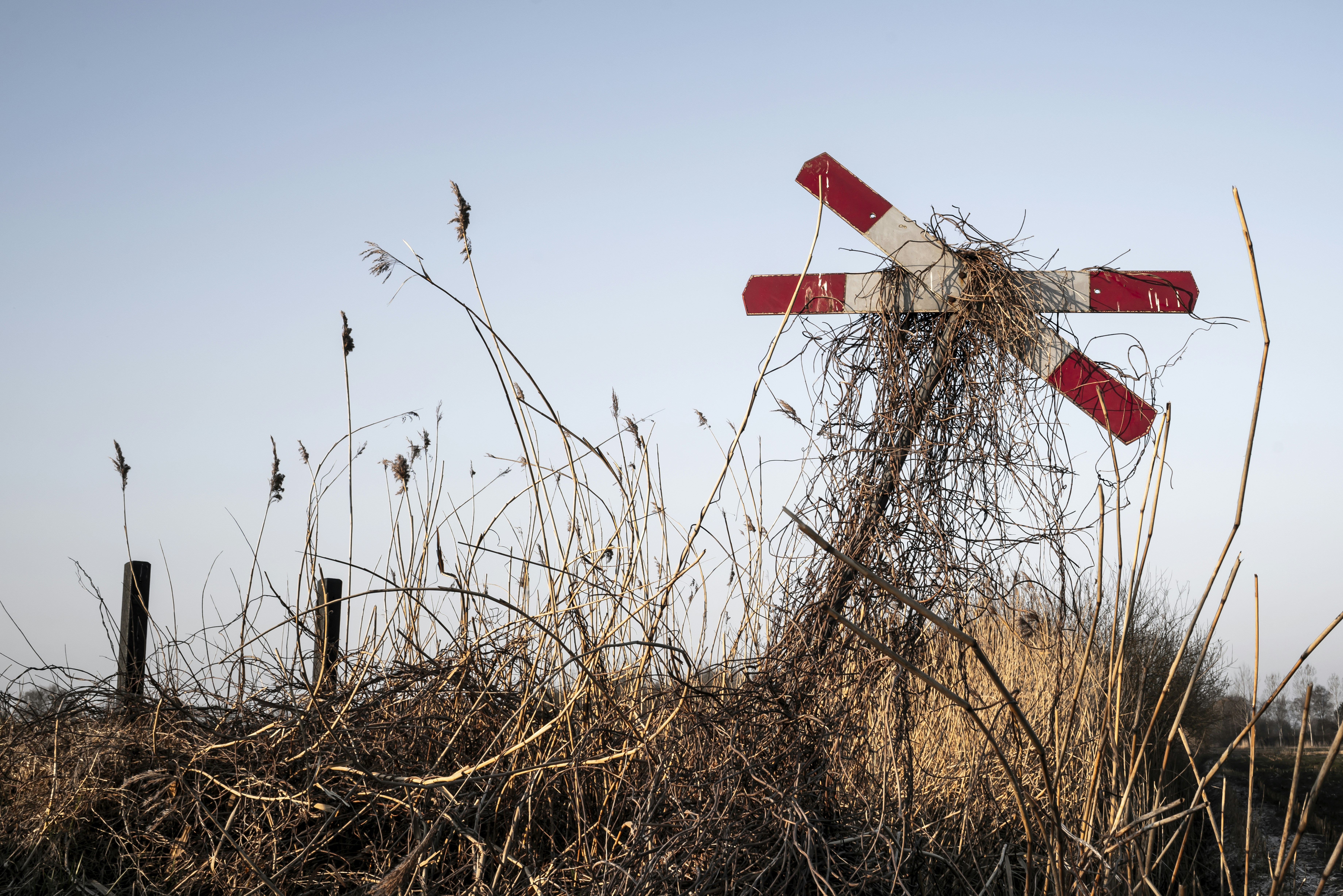 Afbeelding van Veghel