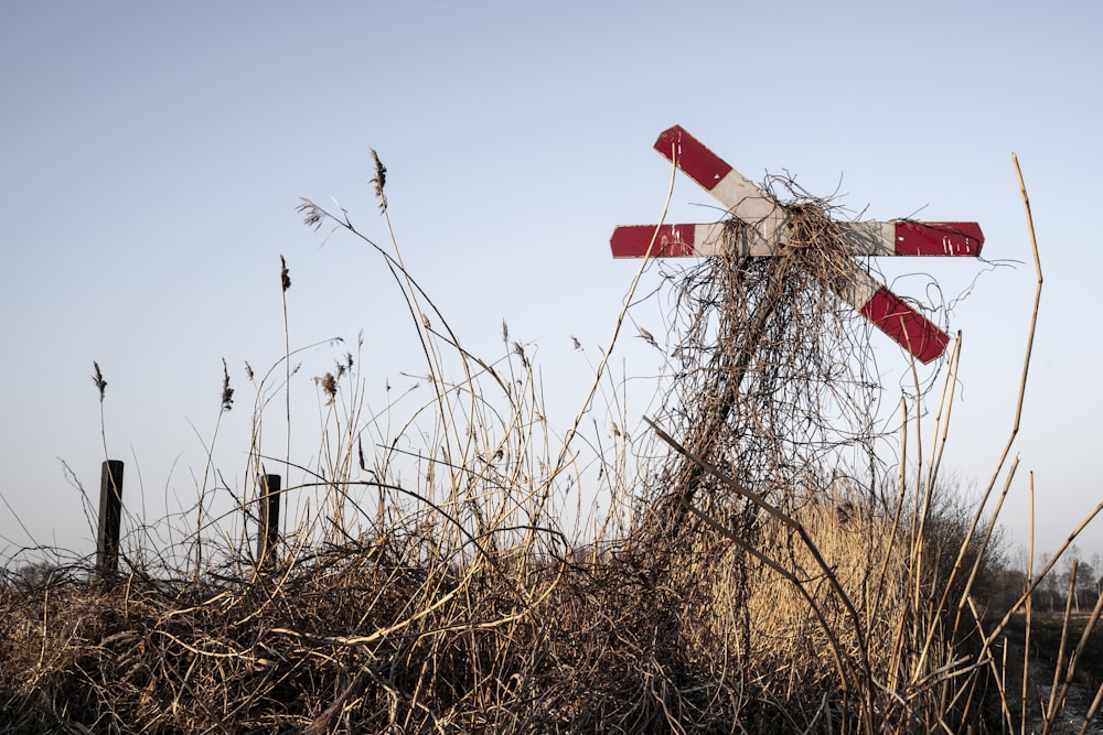 a red and white railroad crossing sign in a field