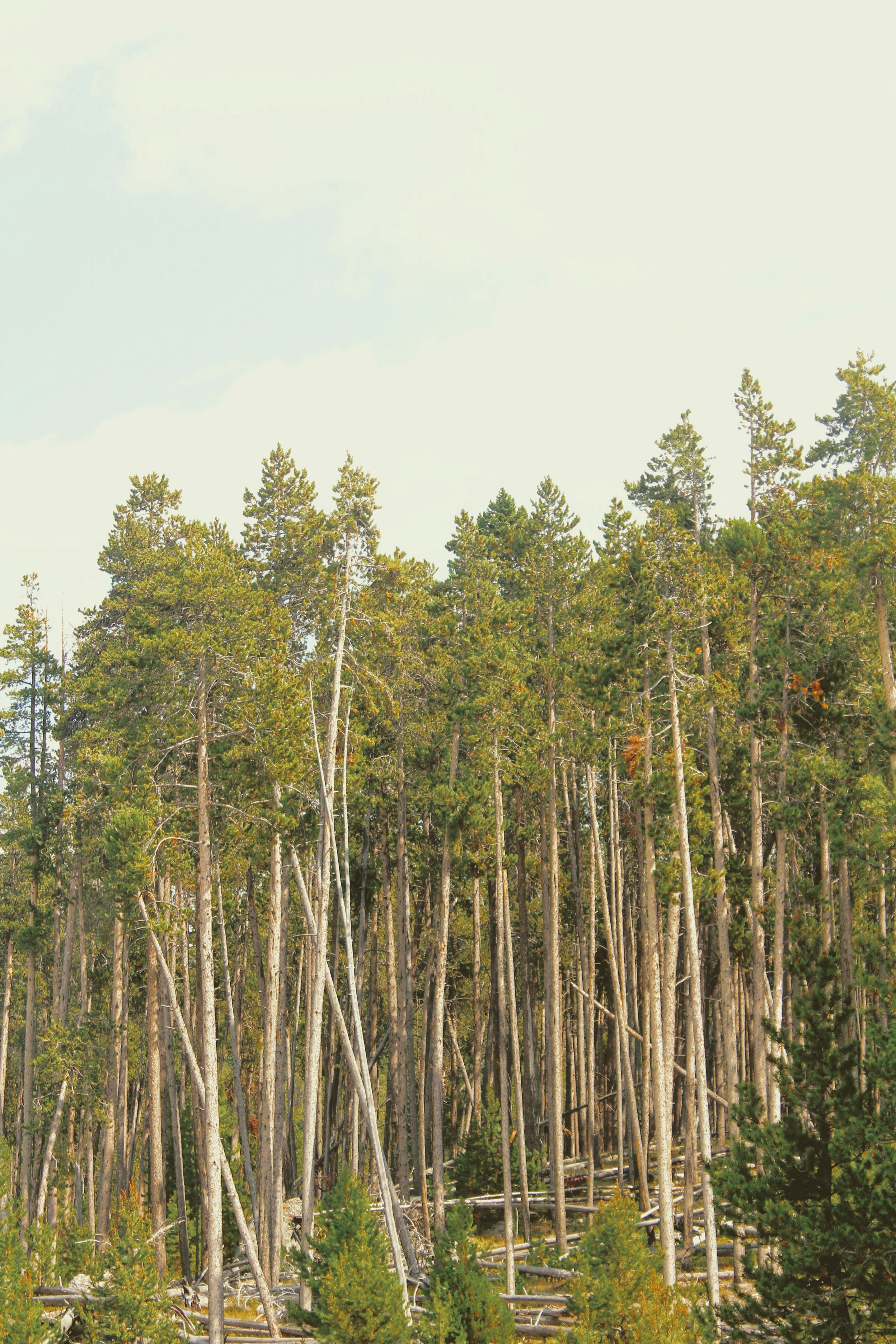 Photo by joshua_hoehne