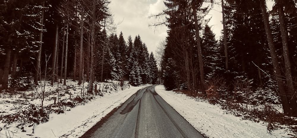 a snow covered road in the middle of a forest