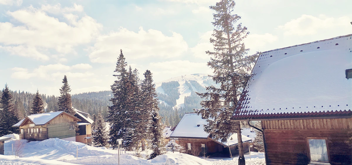 Snow-laden roofs and fir trees in an alpine village