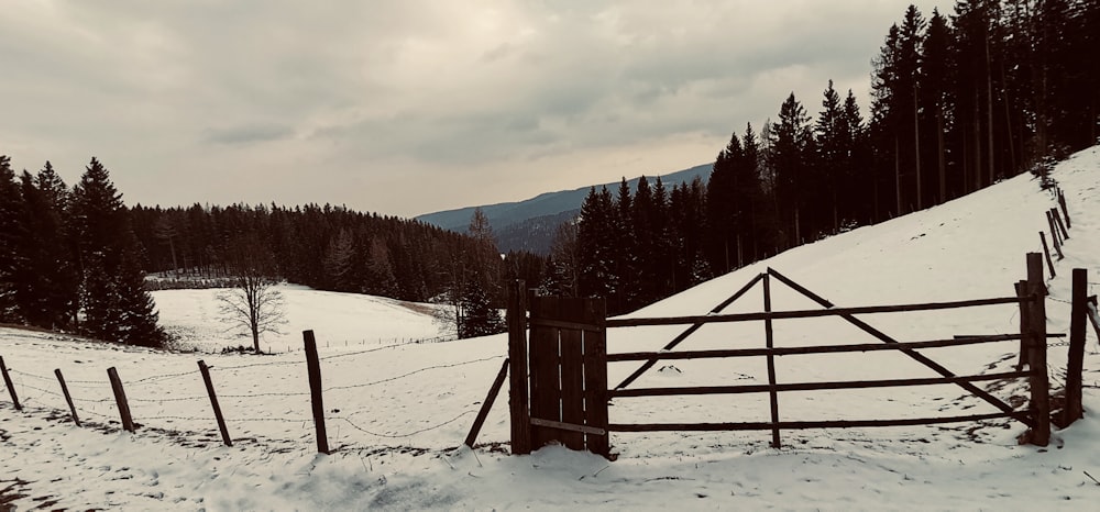 un campo innevato con una staccionata di legno