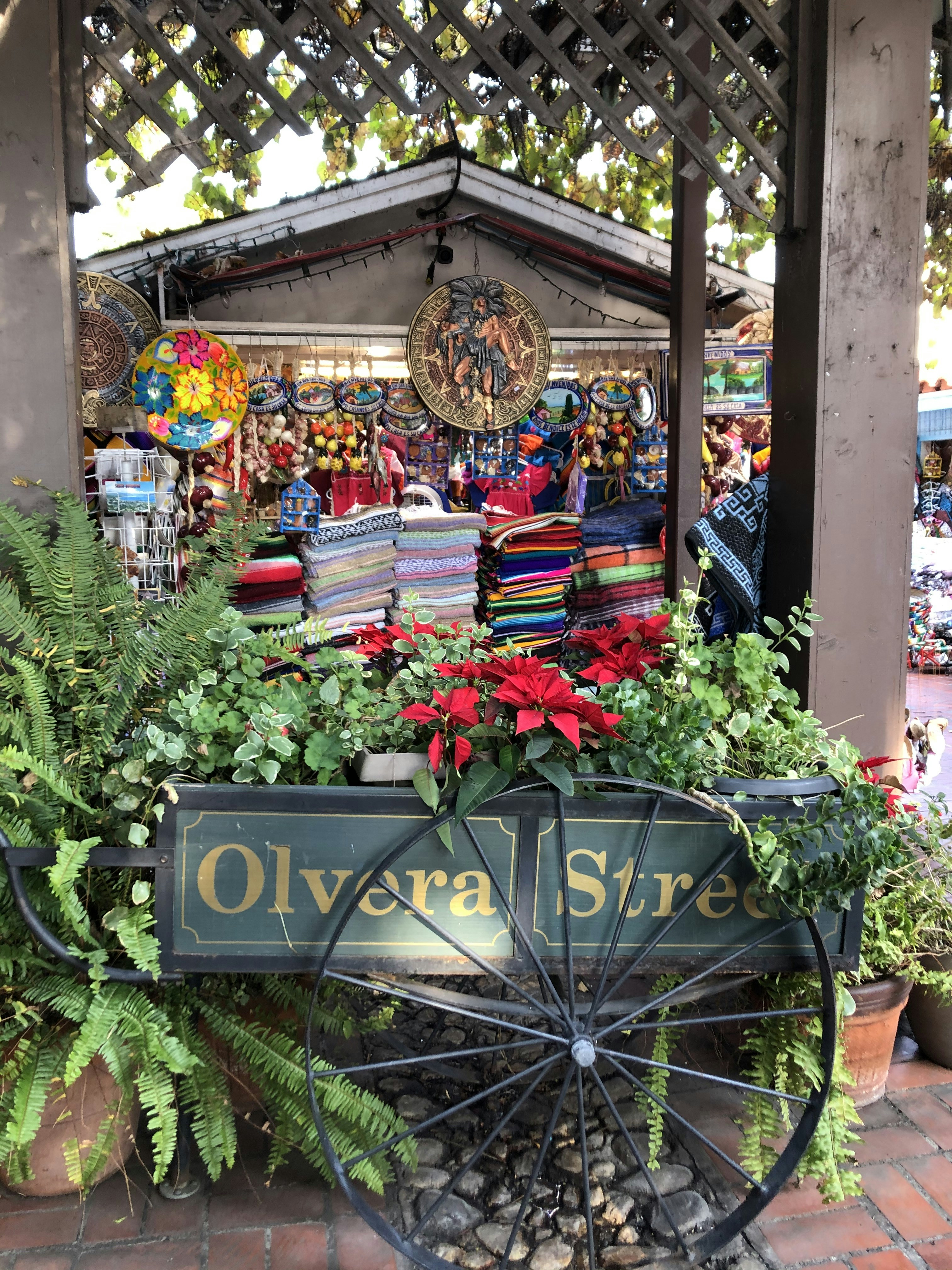 Delicias auténticas de Oaxaca