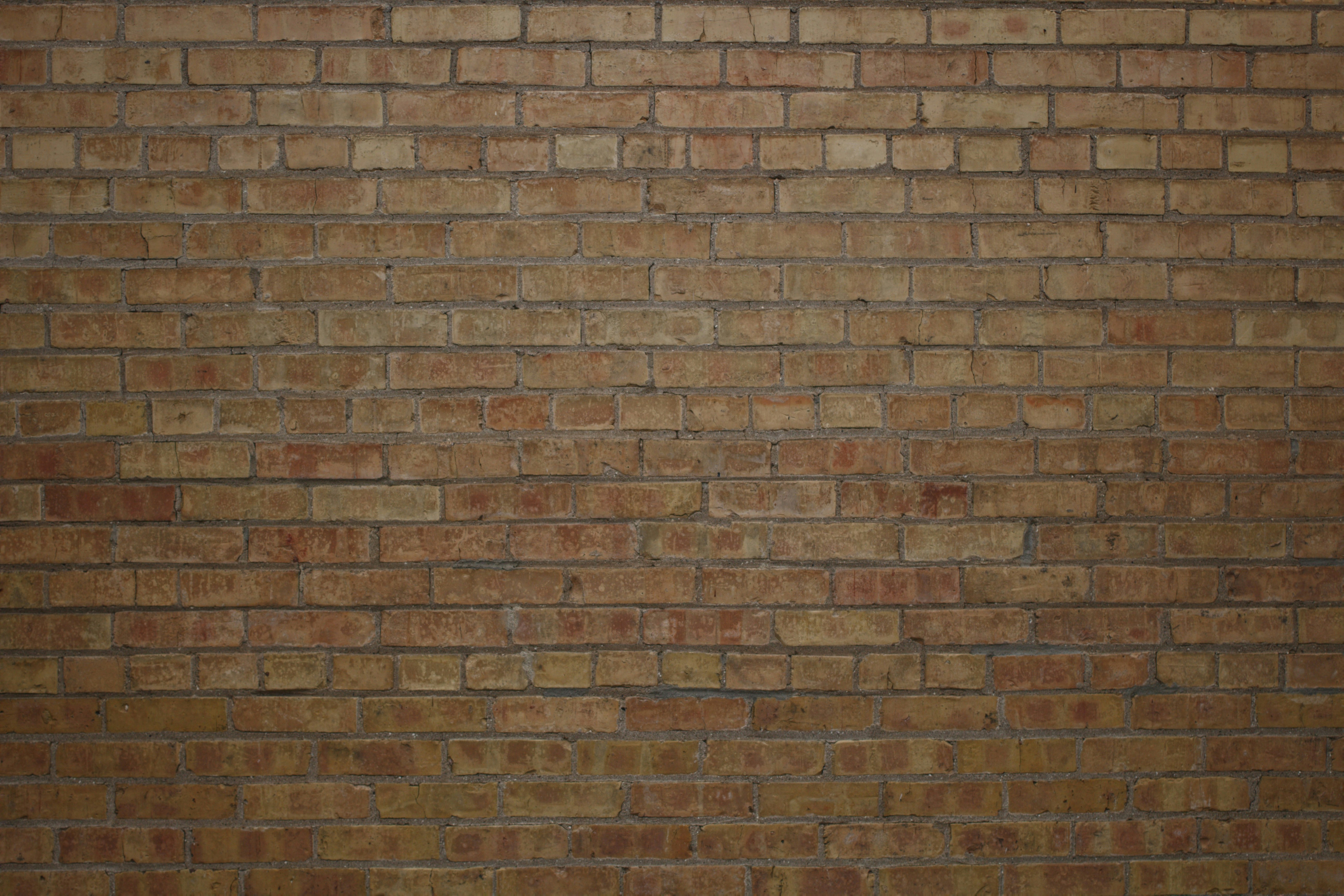 Photo by joshua_hoehne