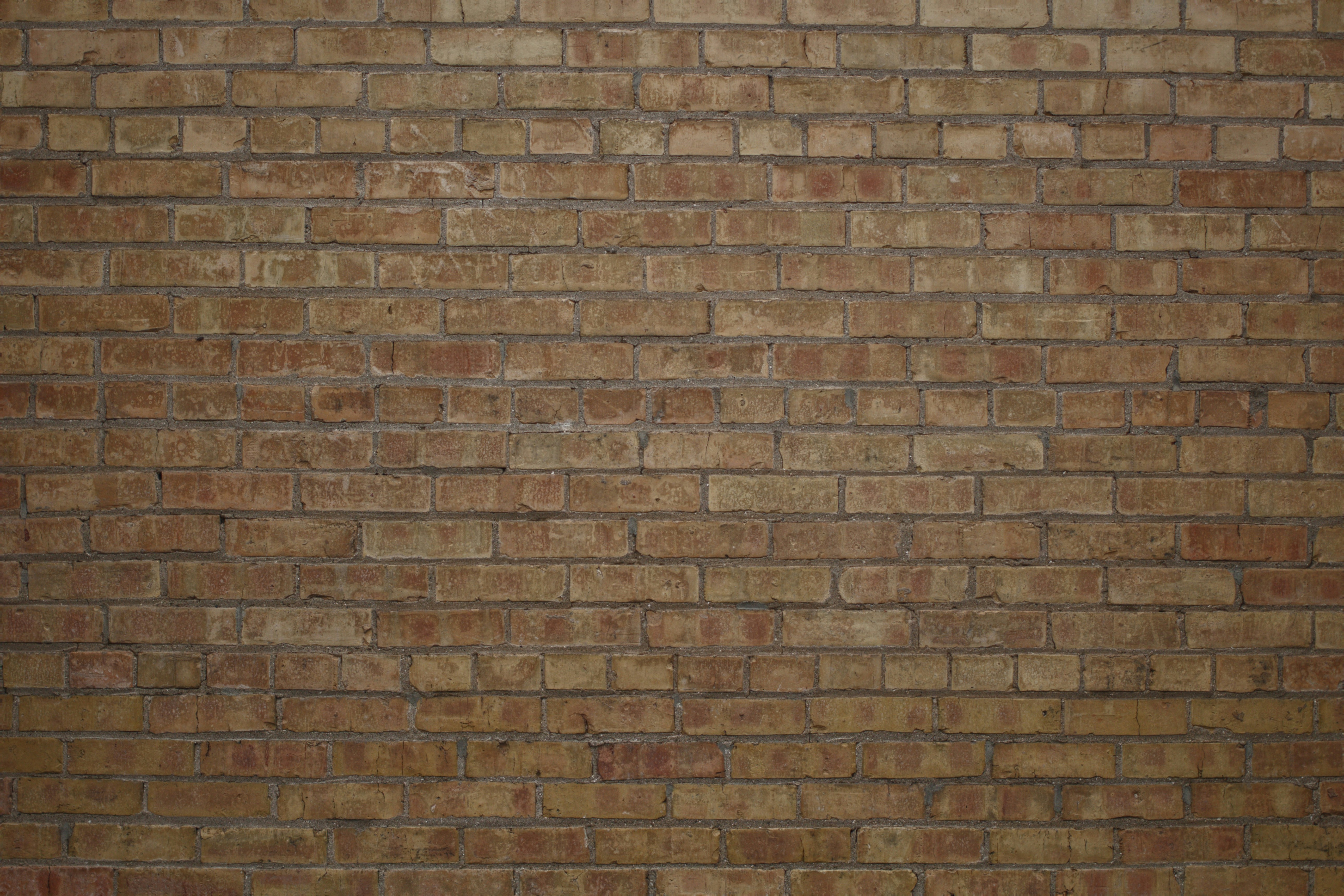 Photo by joshua_hoehne