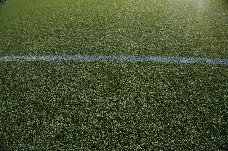 El césped y las líneas de una cancha de fútbol