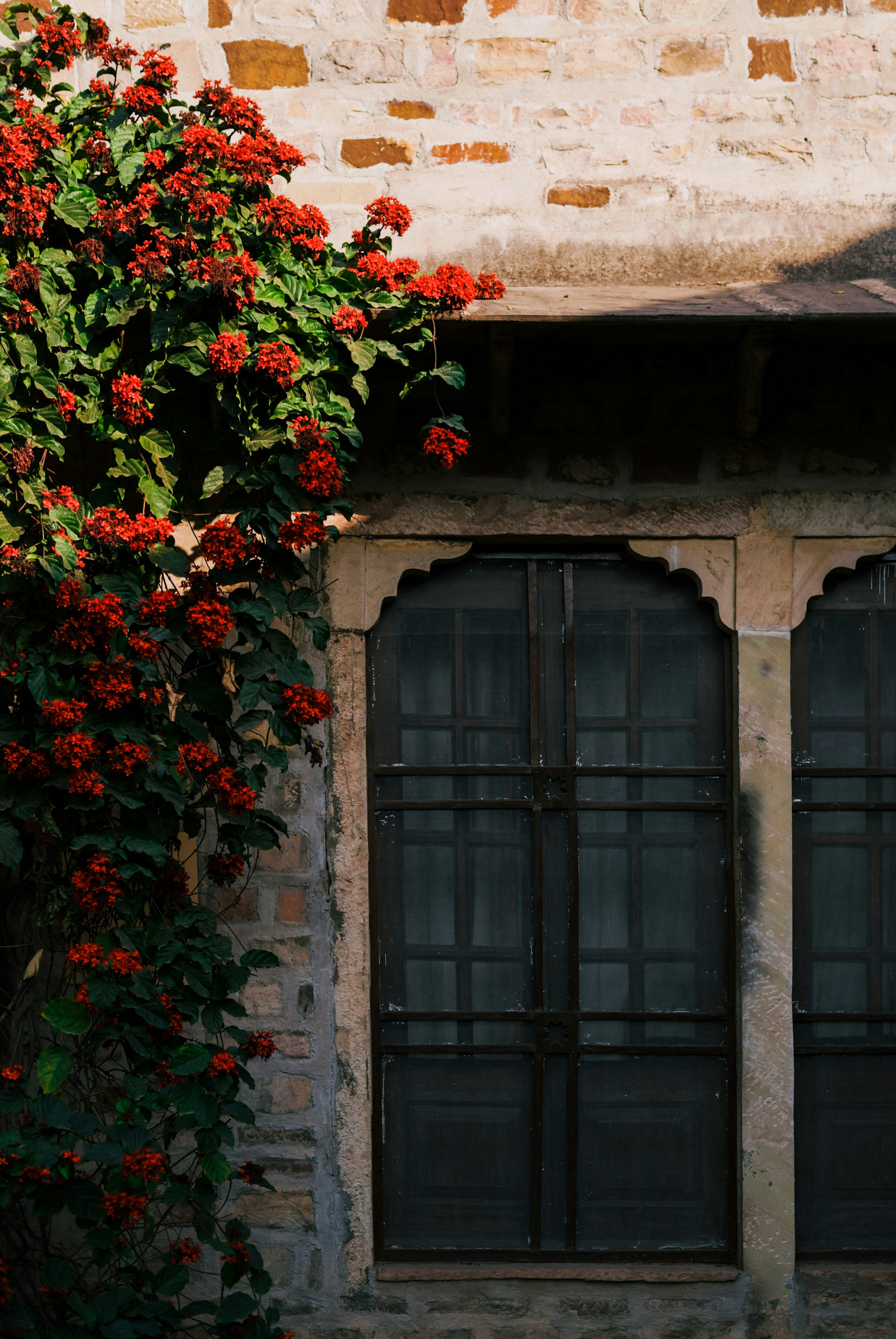 Photo by mnvfineartphotographer