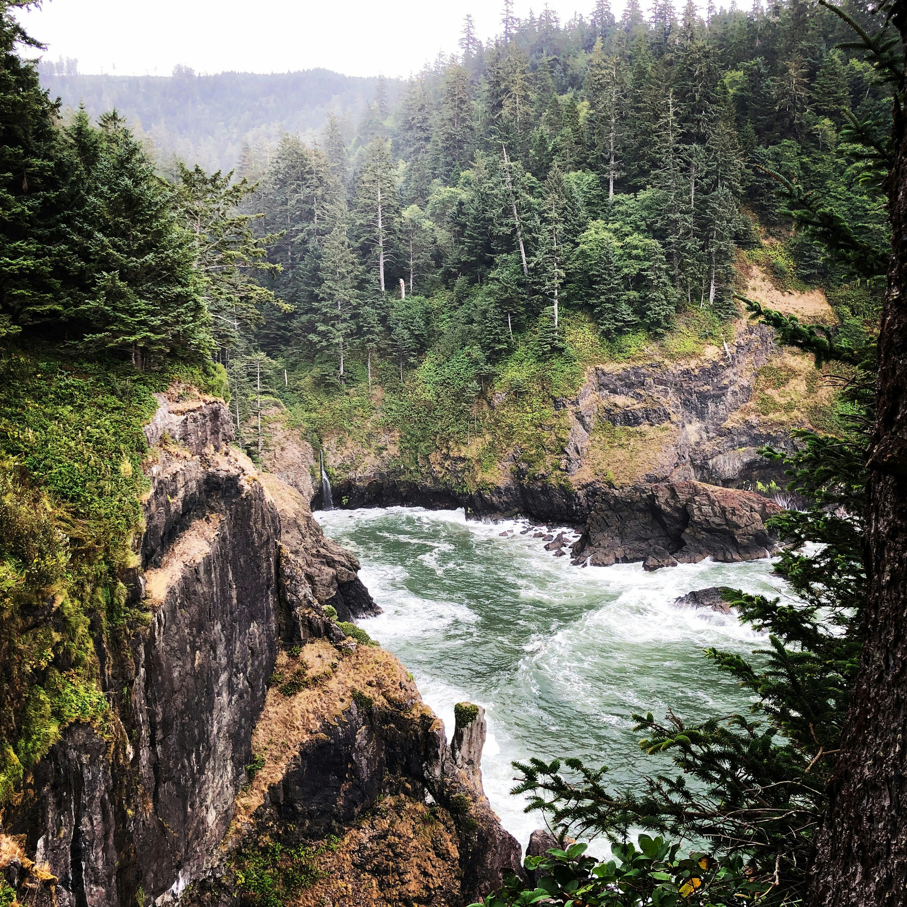  ⚓️ 13 OR Coast STRs For Sale