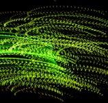 An energetic burst of animated lines and dots forming a dynamic pattern.