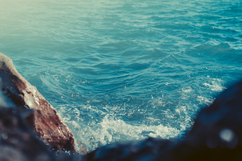 a body of water with a rock sticking out of it