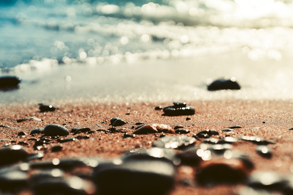 a close up of rocks on a beach near the ocean