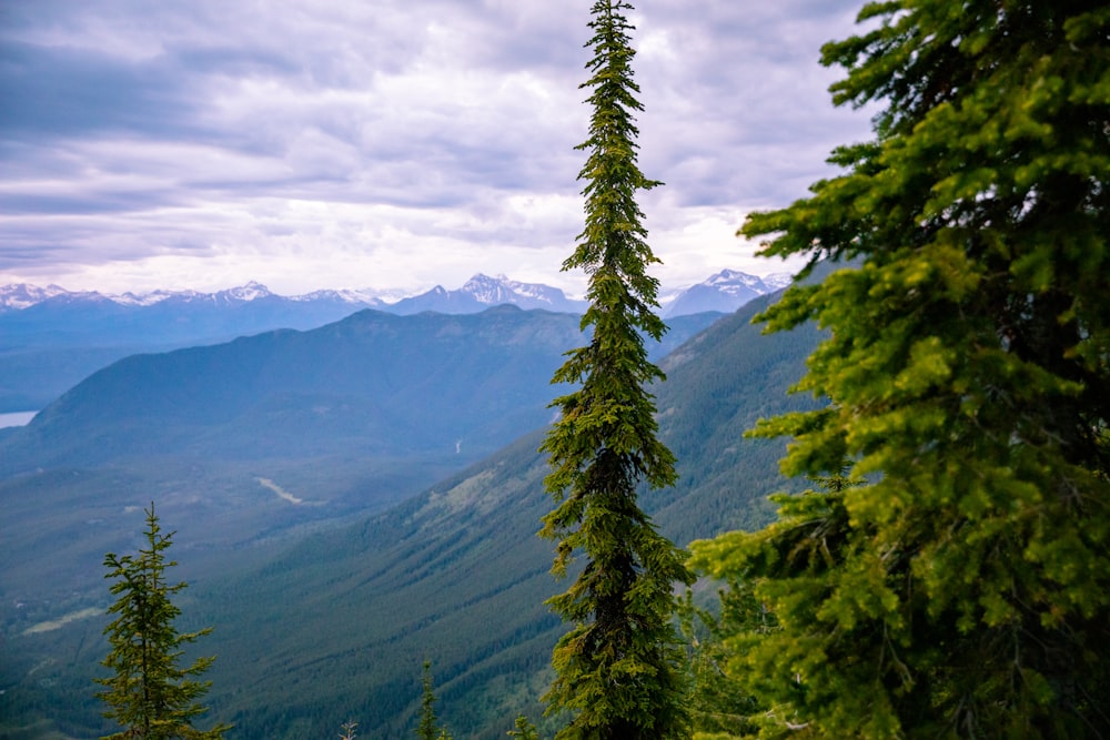 a view of the mountains from a high point of view