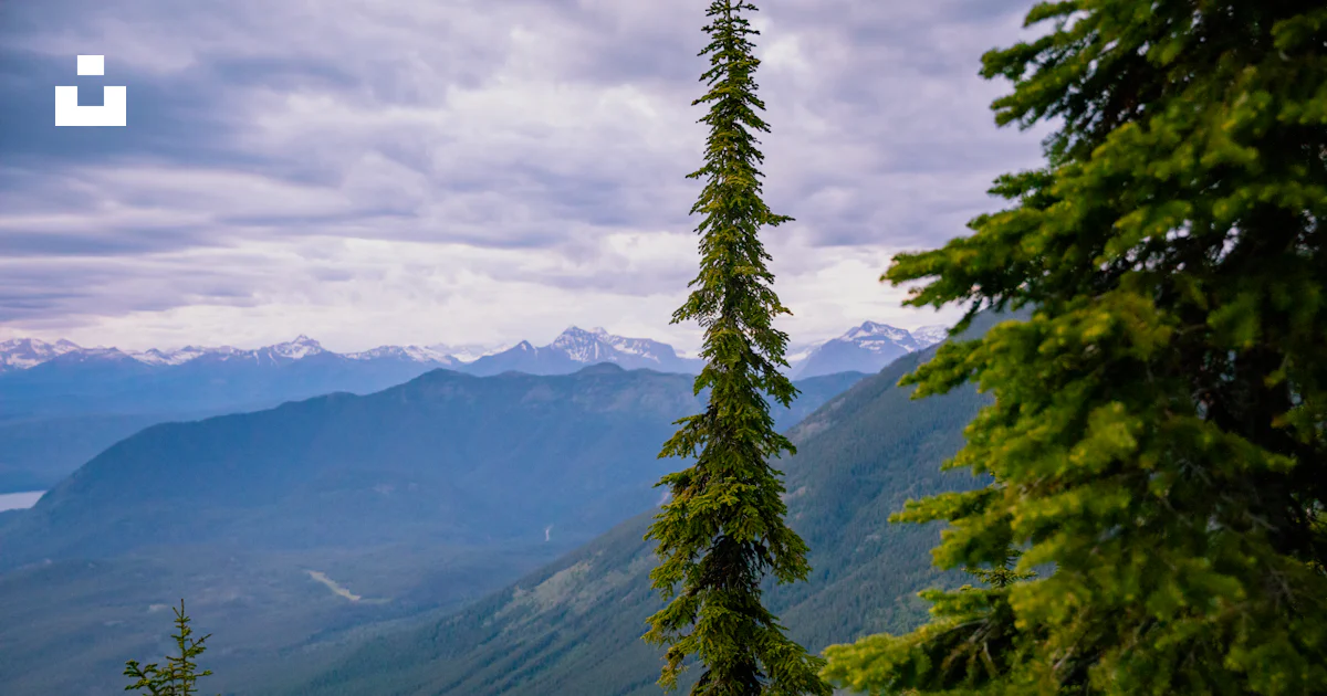 High Ridge Viewpoint A view of the mountains from a high point of view photo – Free Blue ...