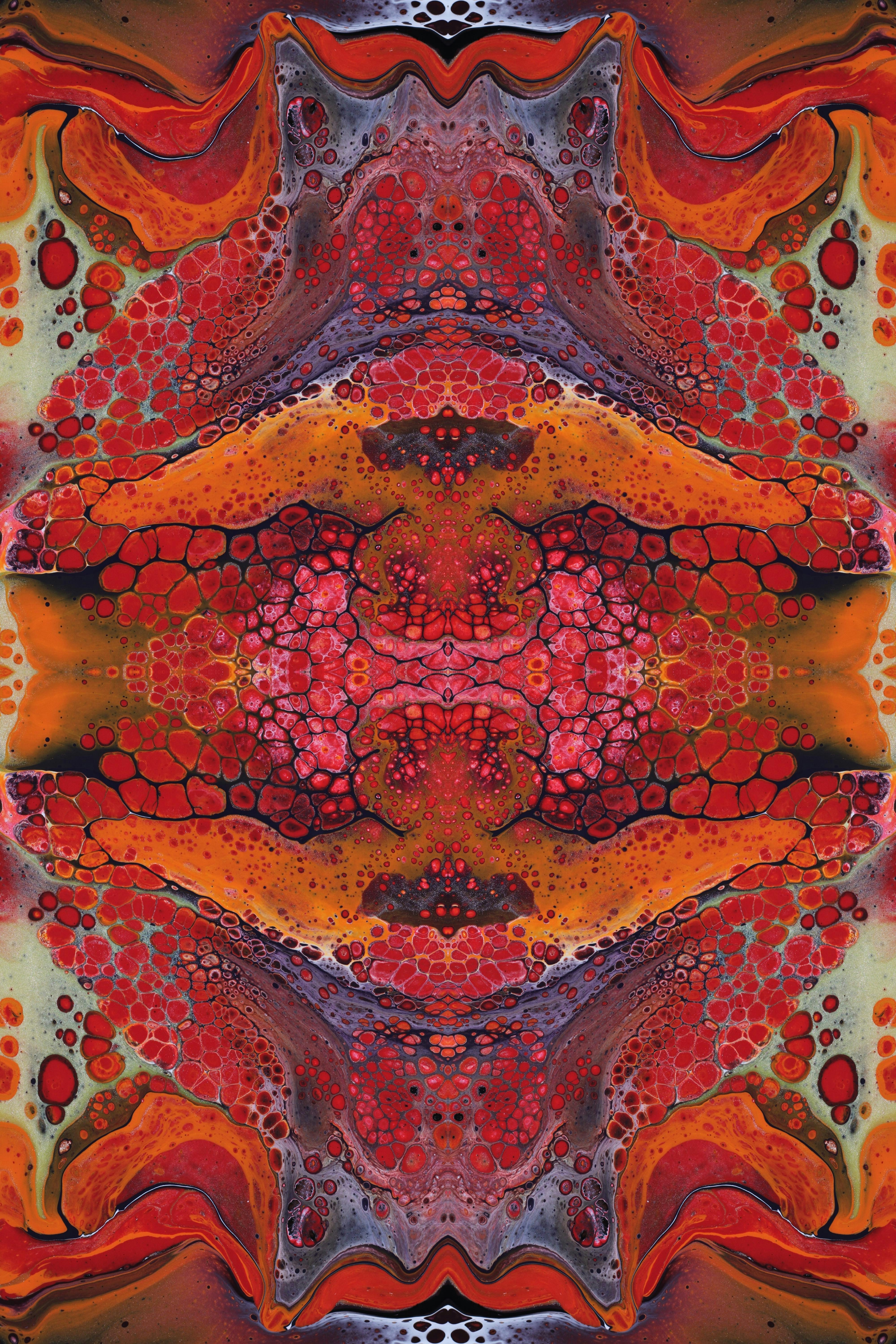 Photo by susan_wilkinson