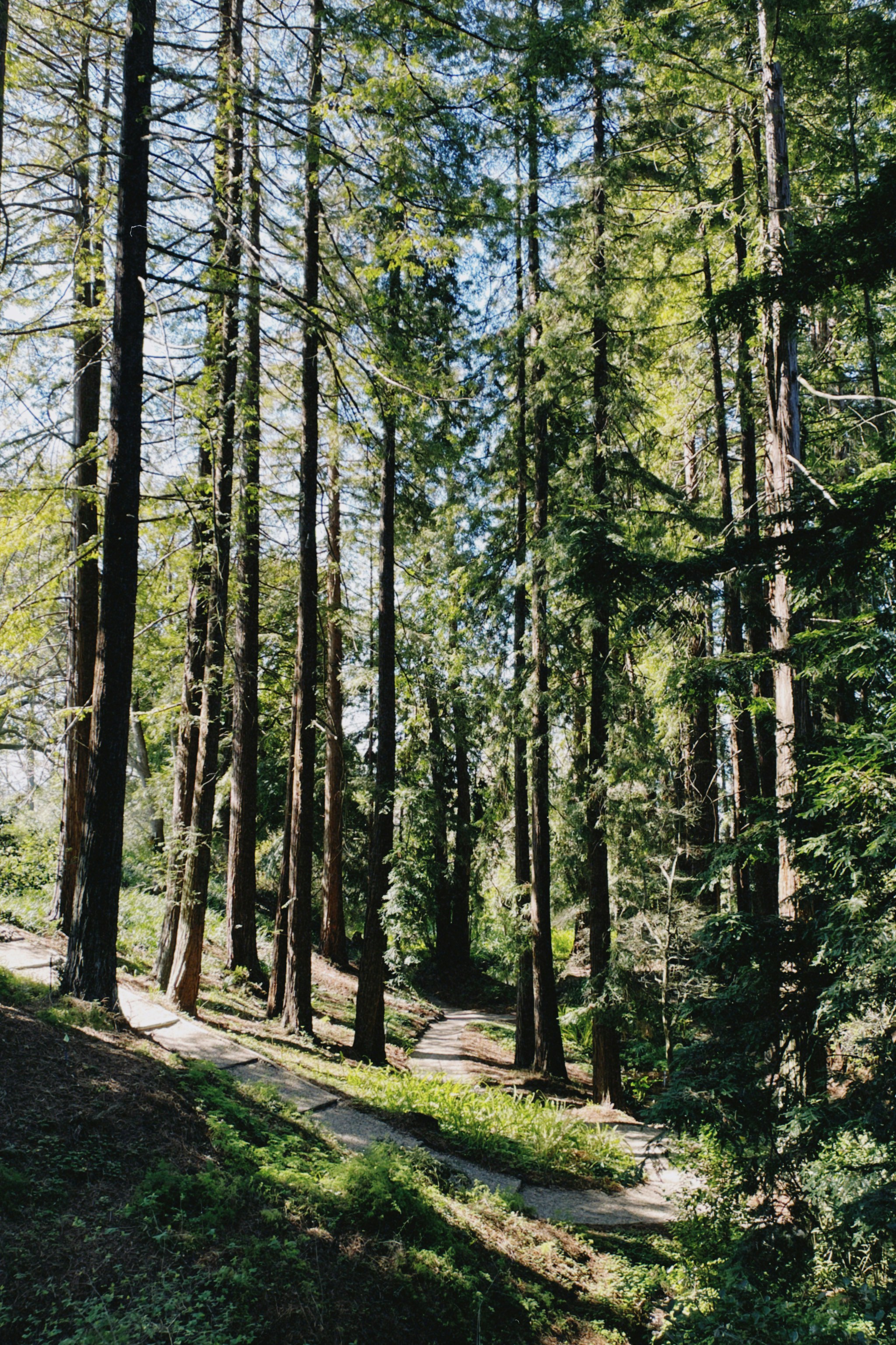 Photo by christopherstites