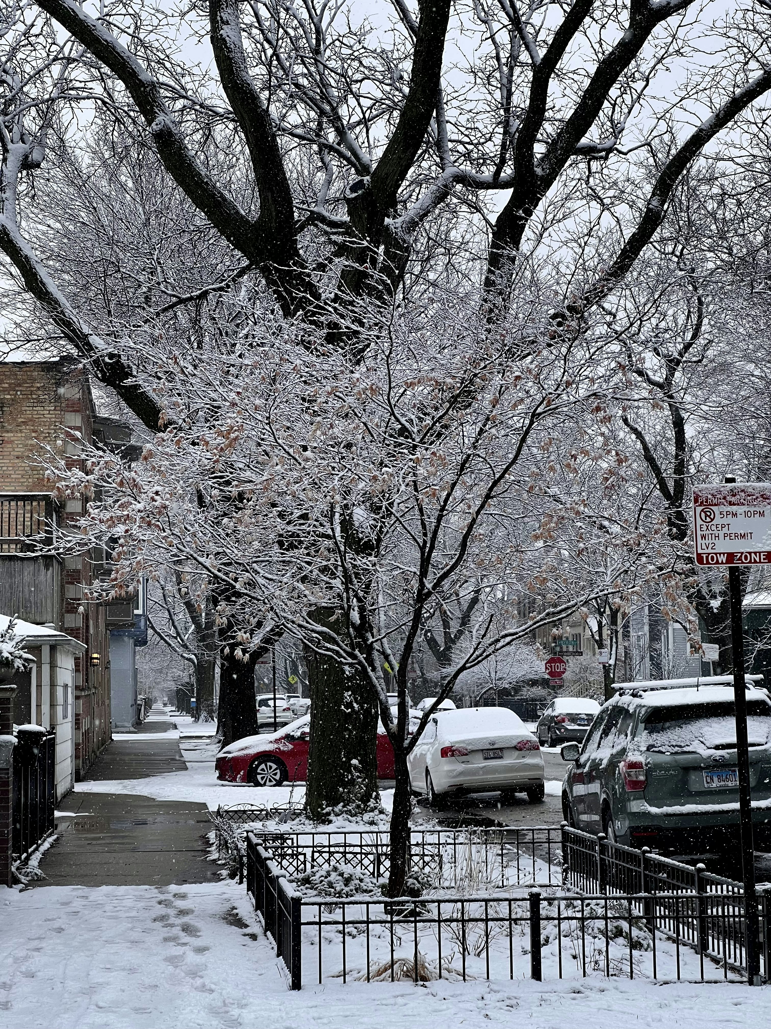 Photo by apaturairis