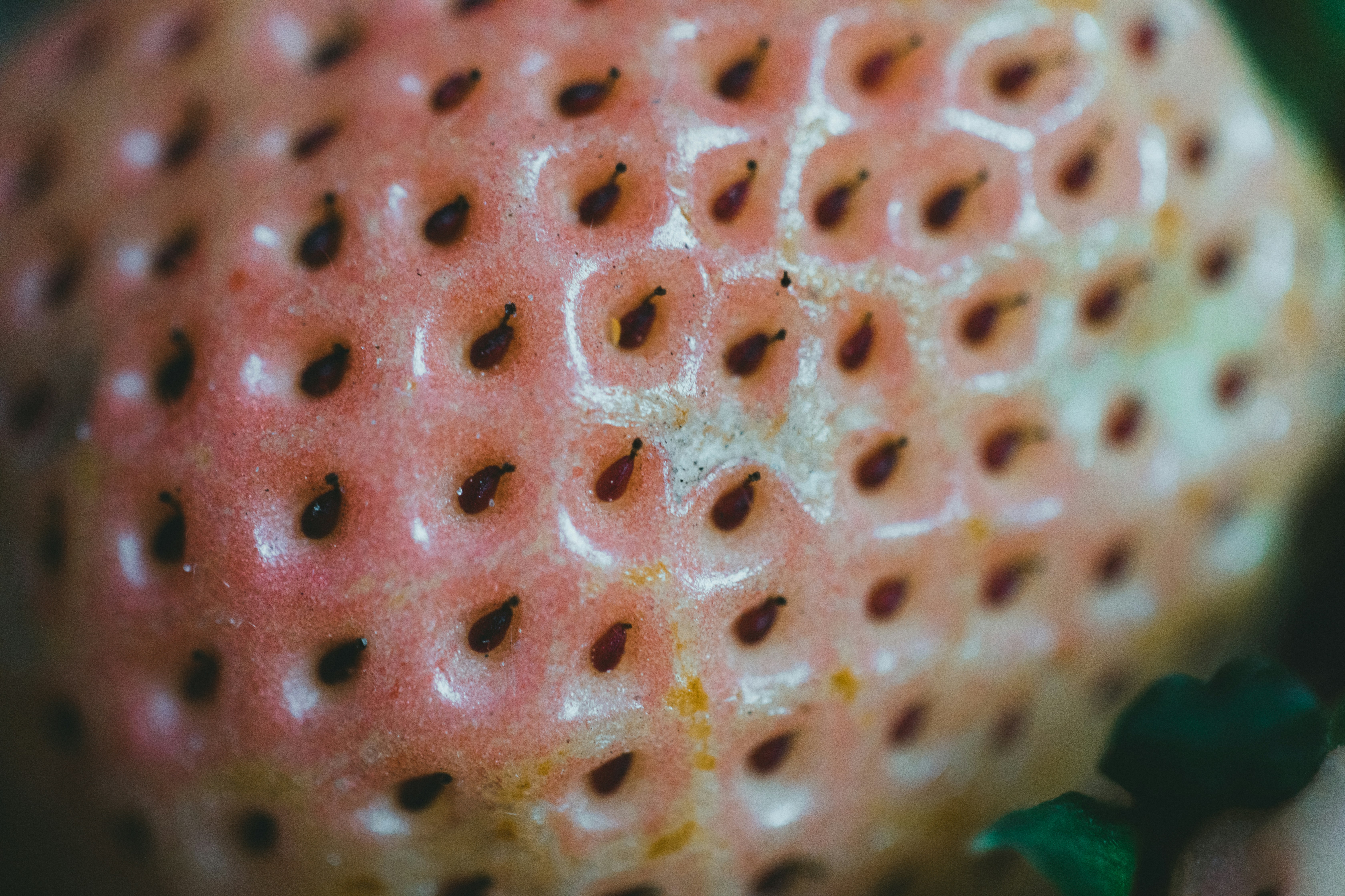 a close up of a strawberry with black spots