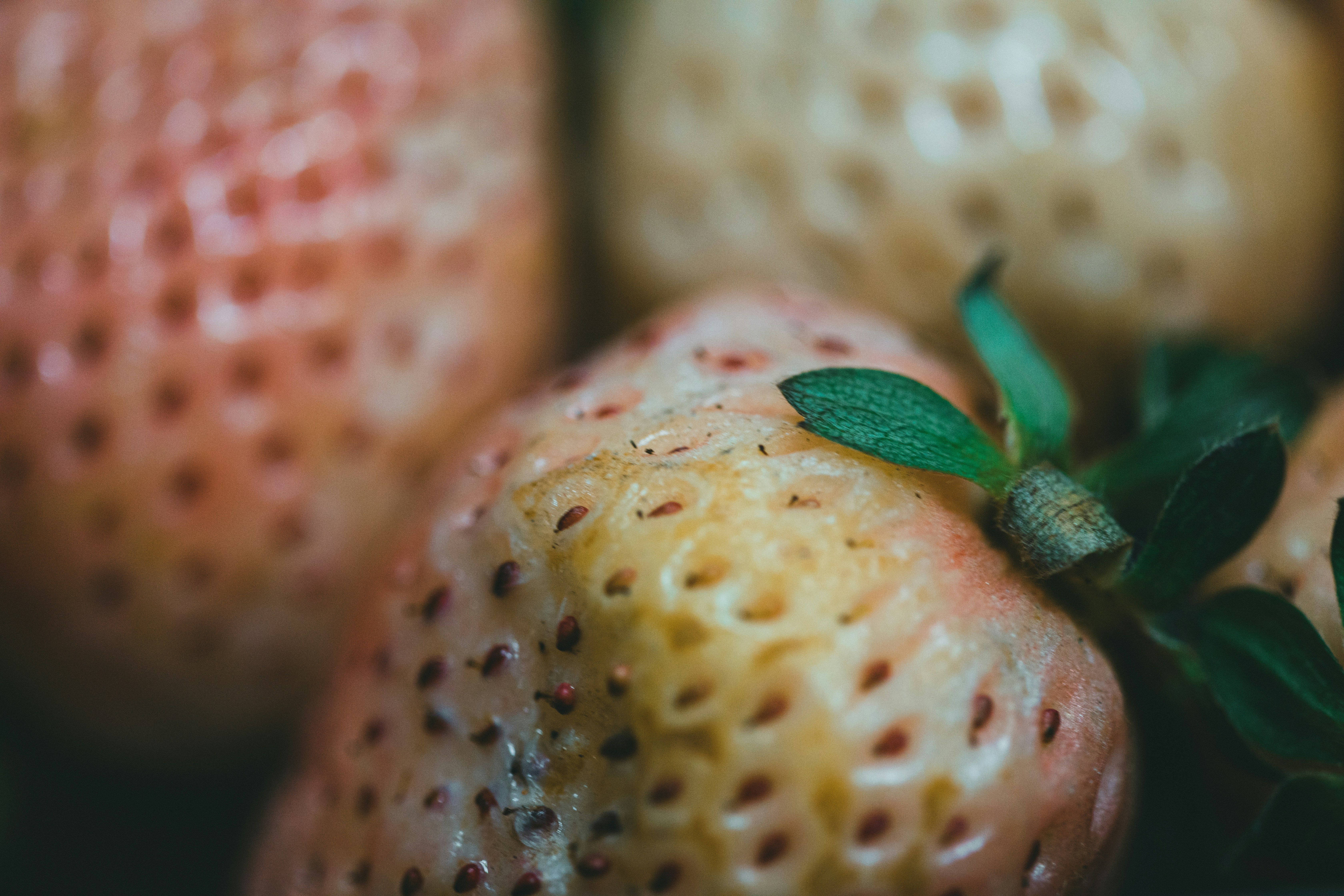 Photo by theshuttervision